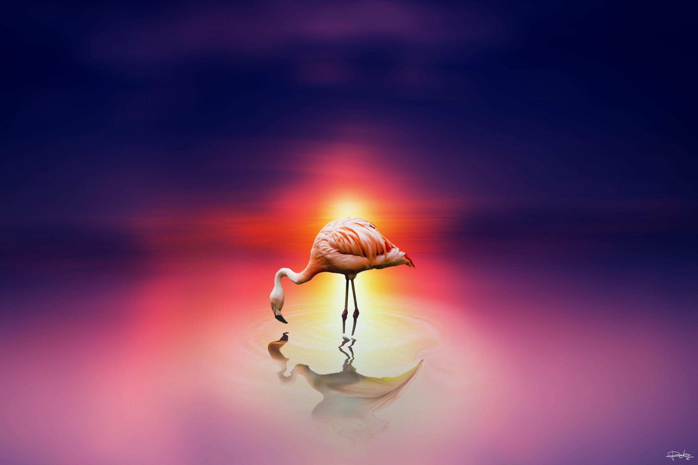 fenicottero a bosisio