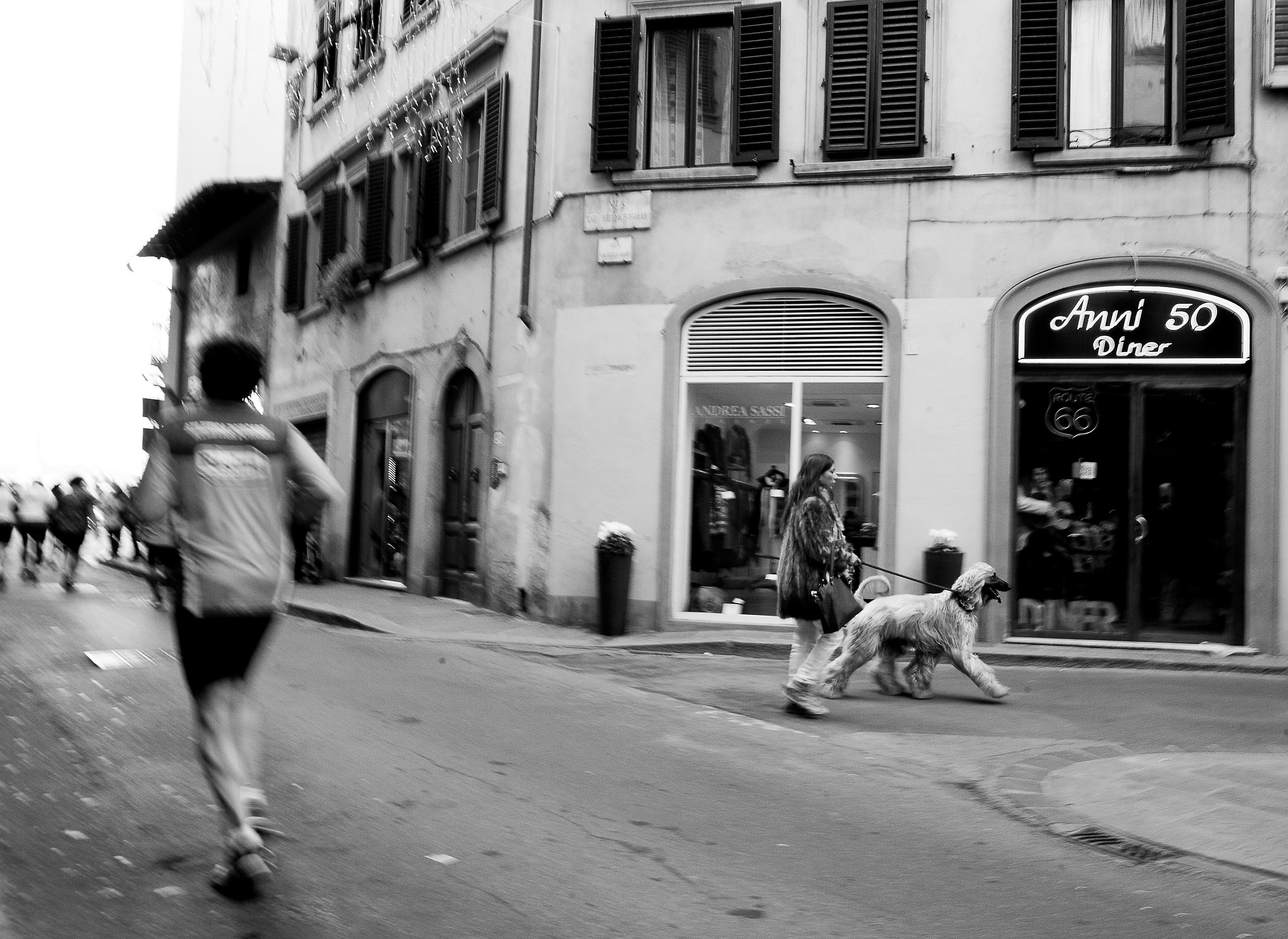 Aplomb...del levriero afgano