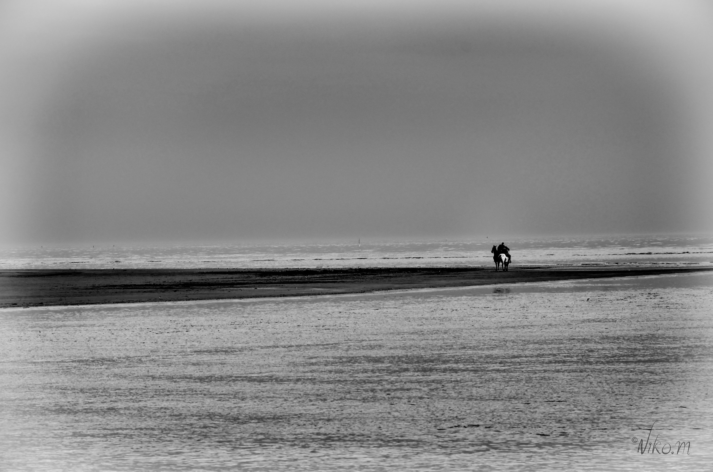 cavalli all'orizzonte