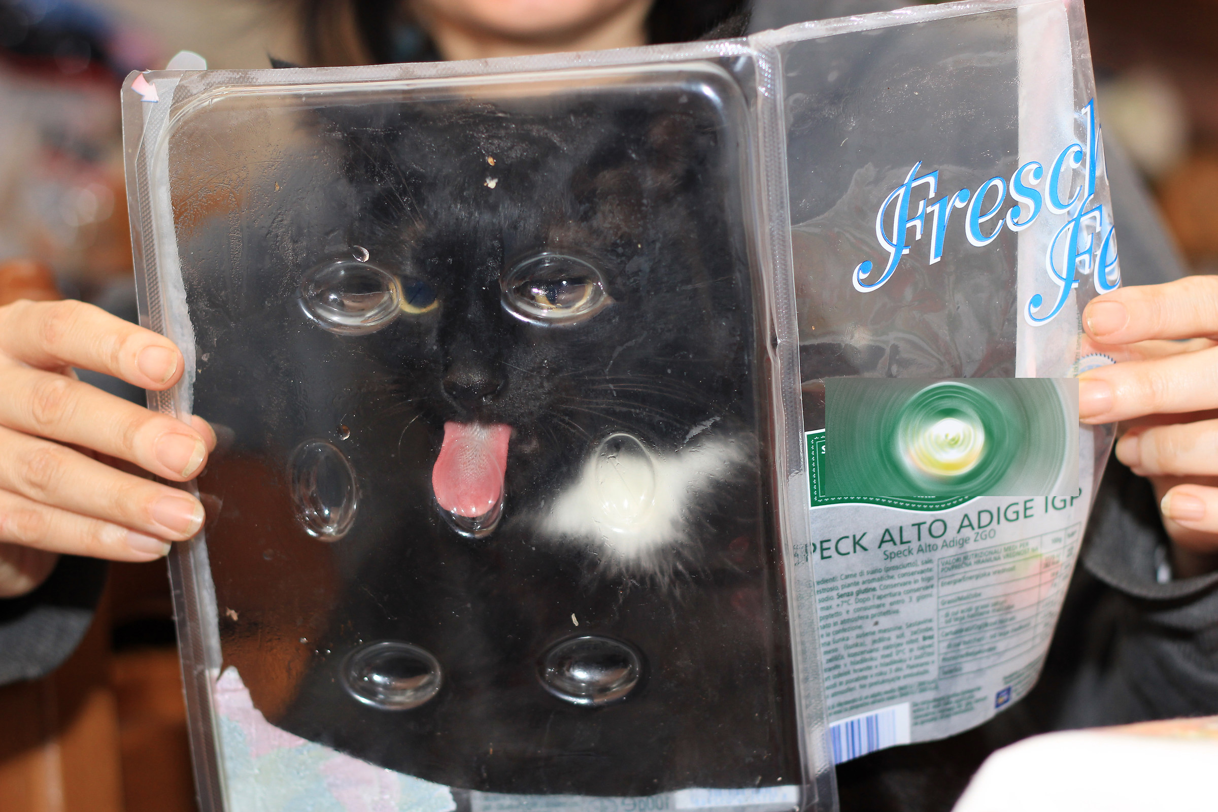 che fine ha fatto lo speck