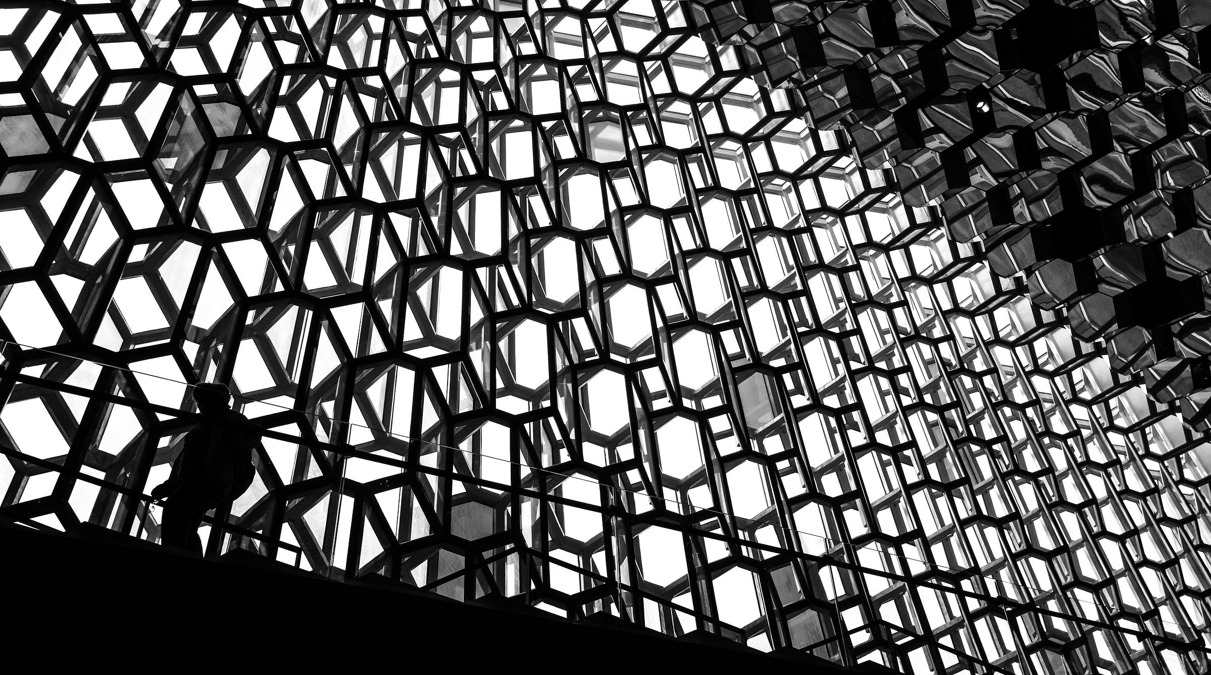 "Guess the honeycomb"