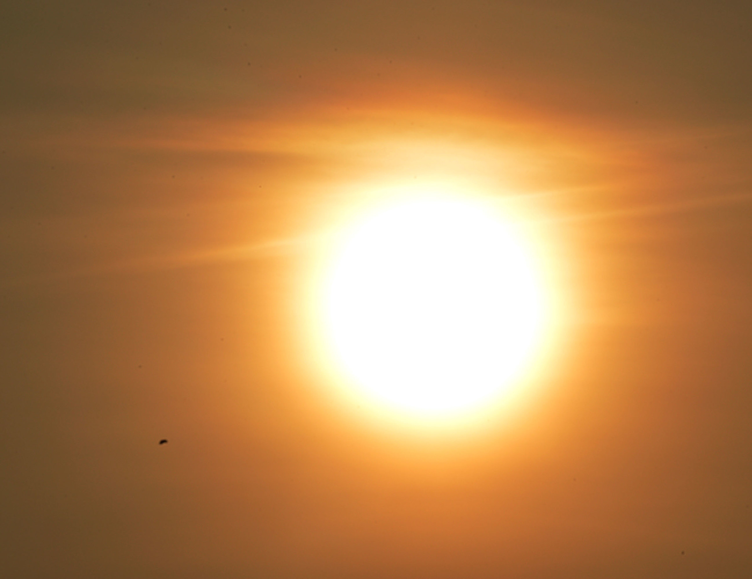 il sole di milano  al tramonto