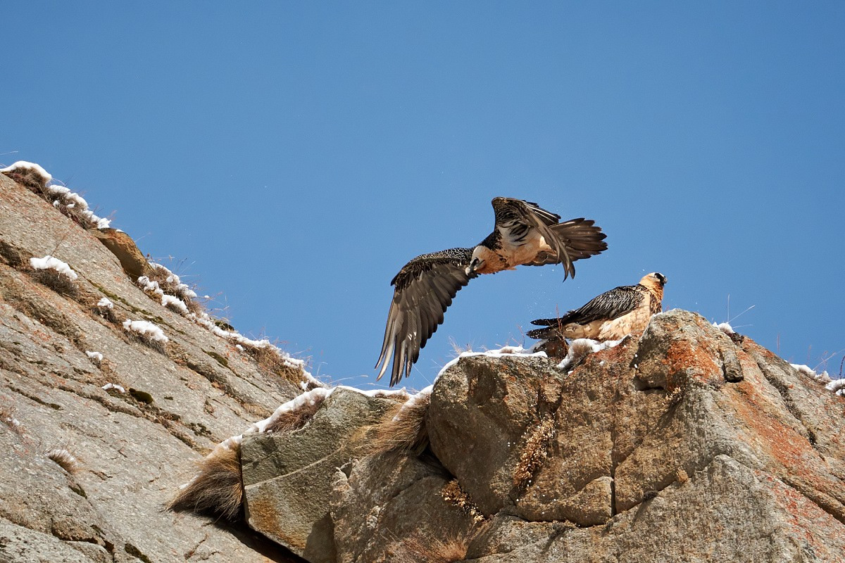 You go that I stay in control!