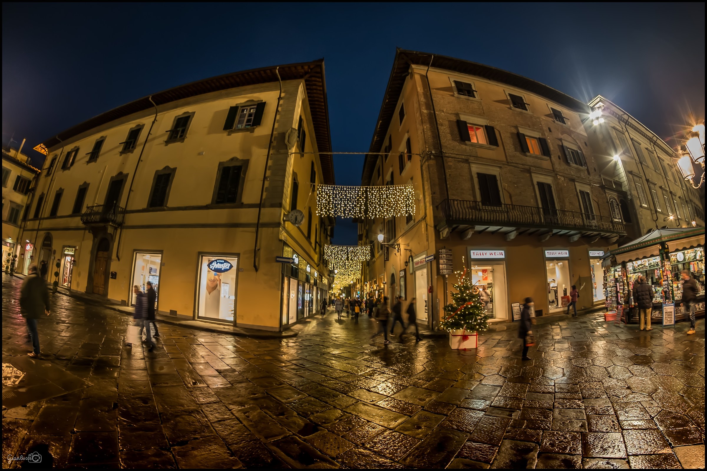 Meadow in 8 mm part one