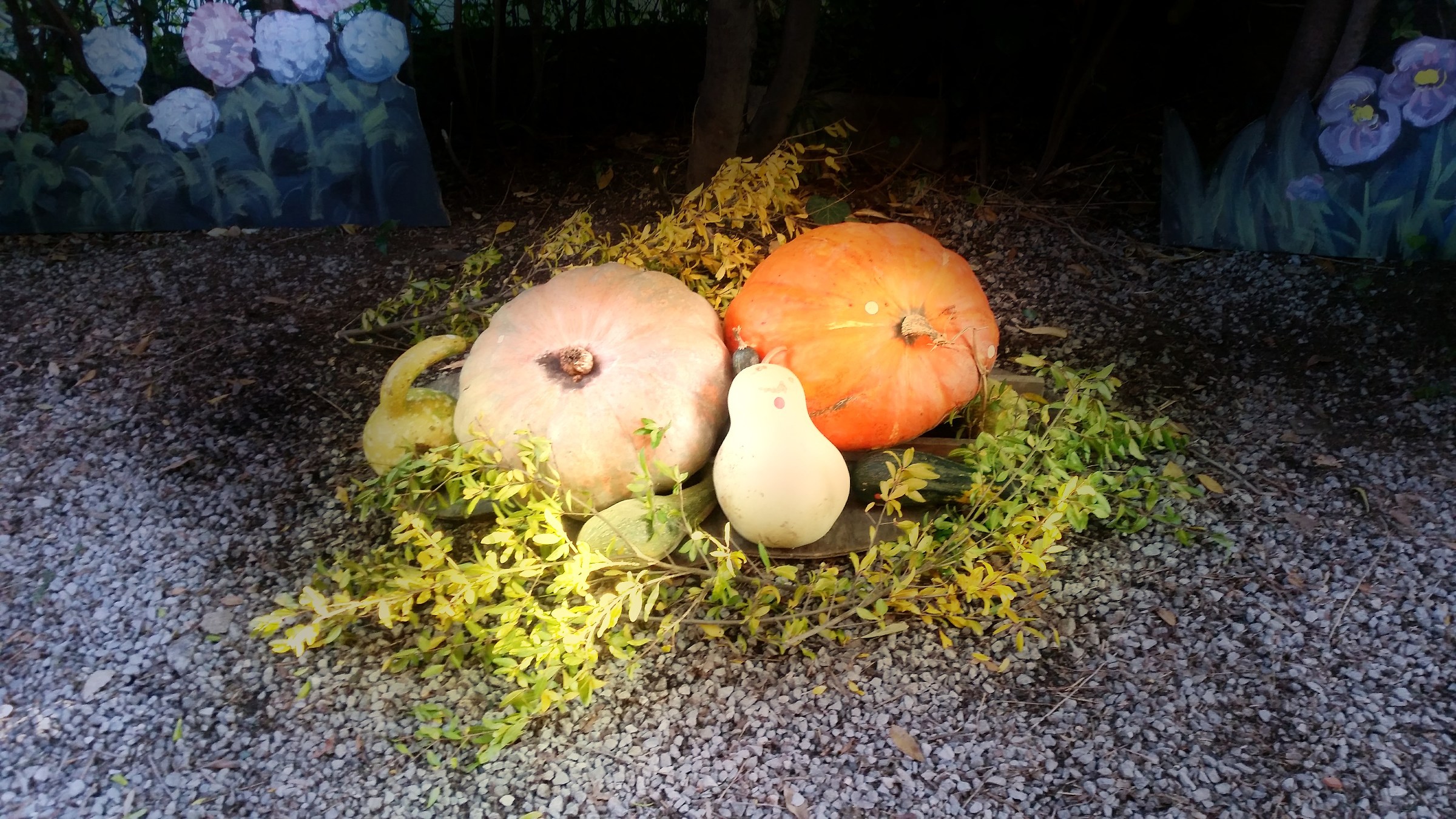 Sagra della zucca- Murta 2015