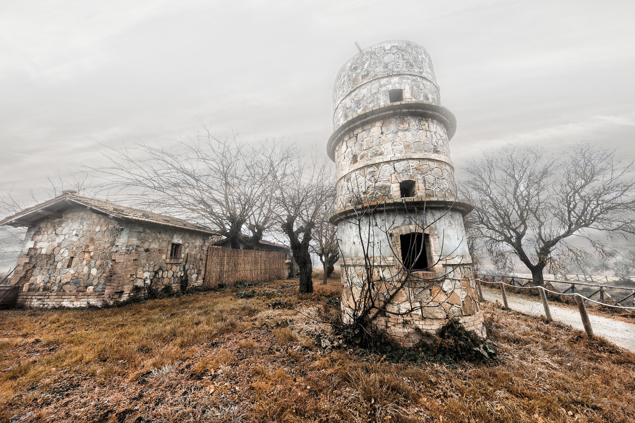 la torre nell'oasi..