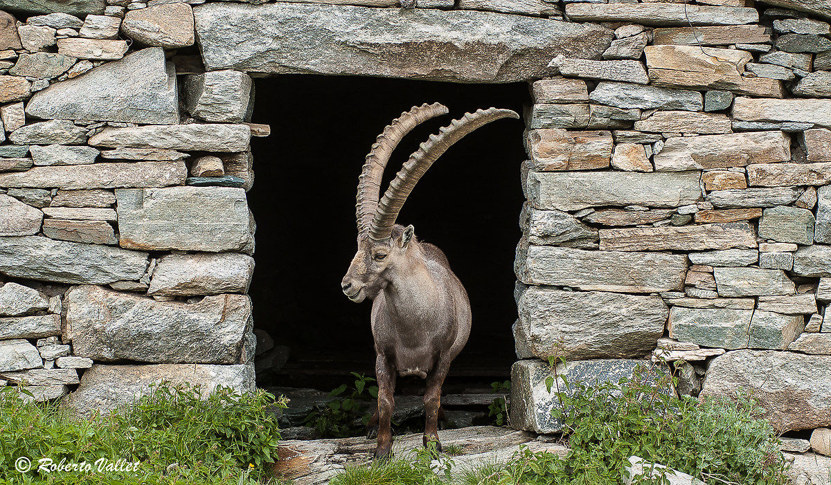 What happens out here ??