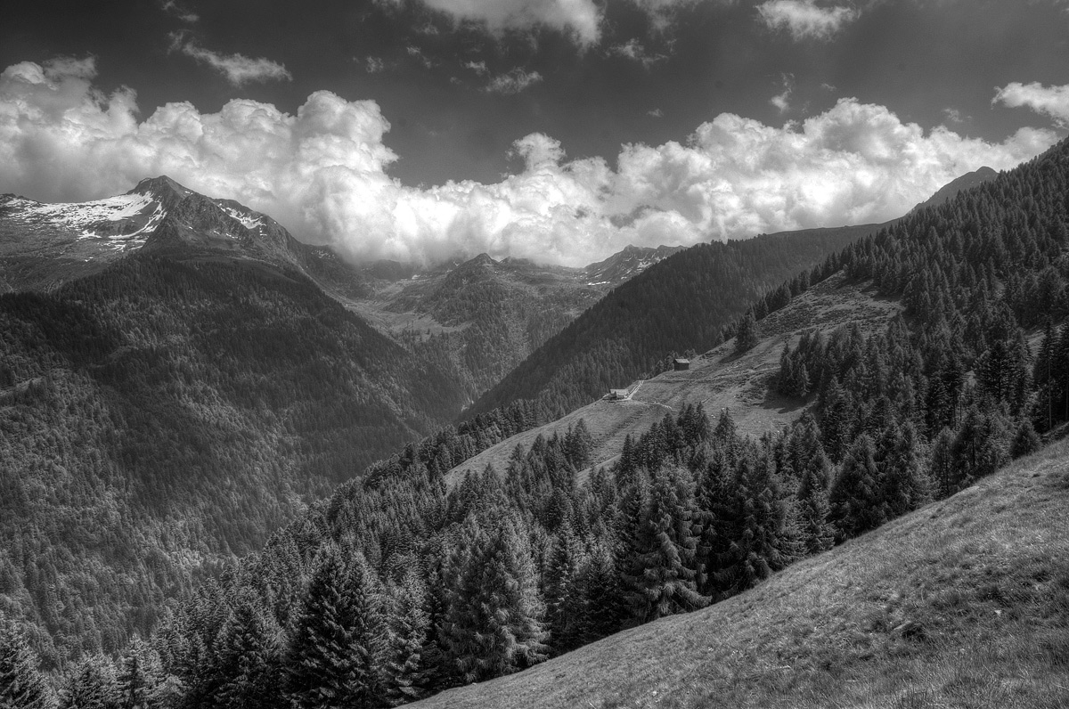 Panorama valtellinese b/n