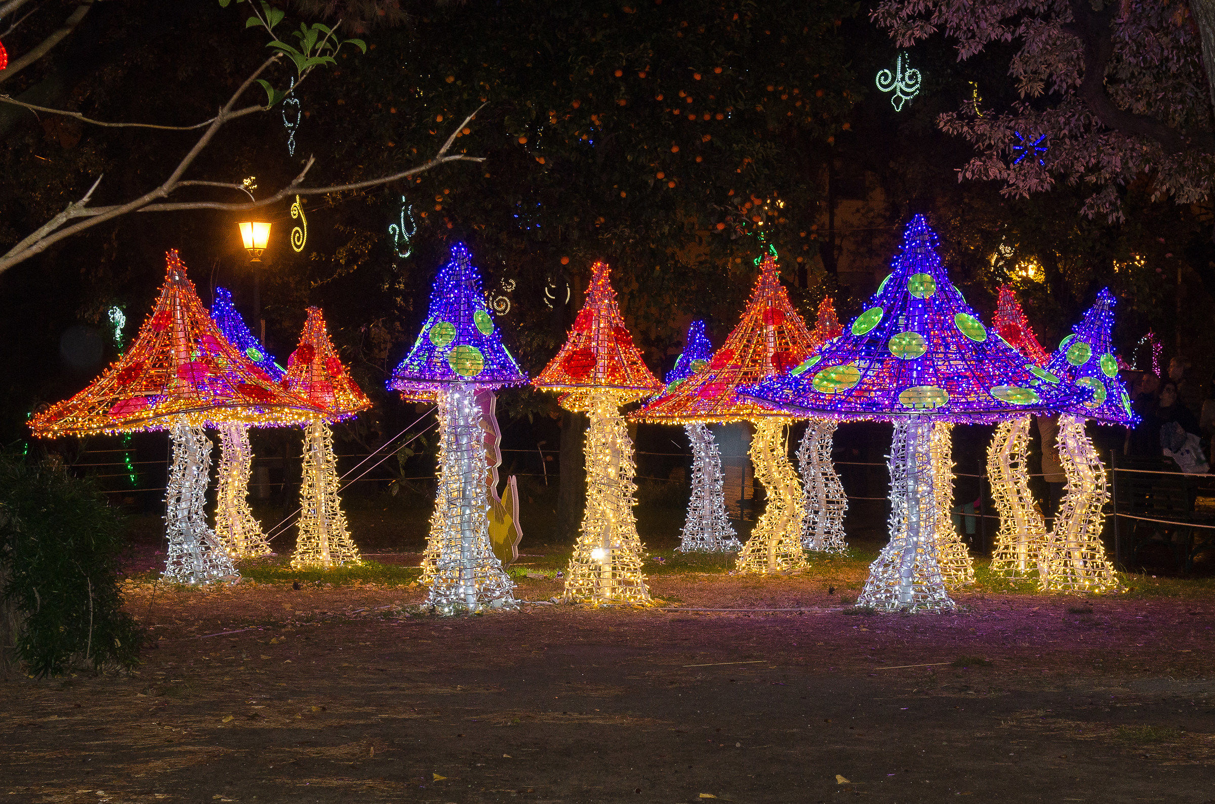 Lighting artist Salerno