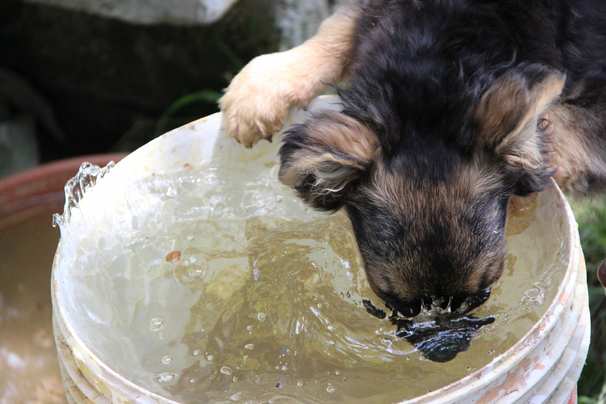 First test dive time!