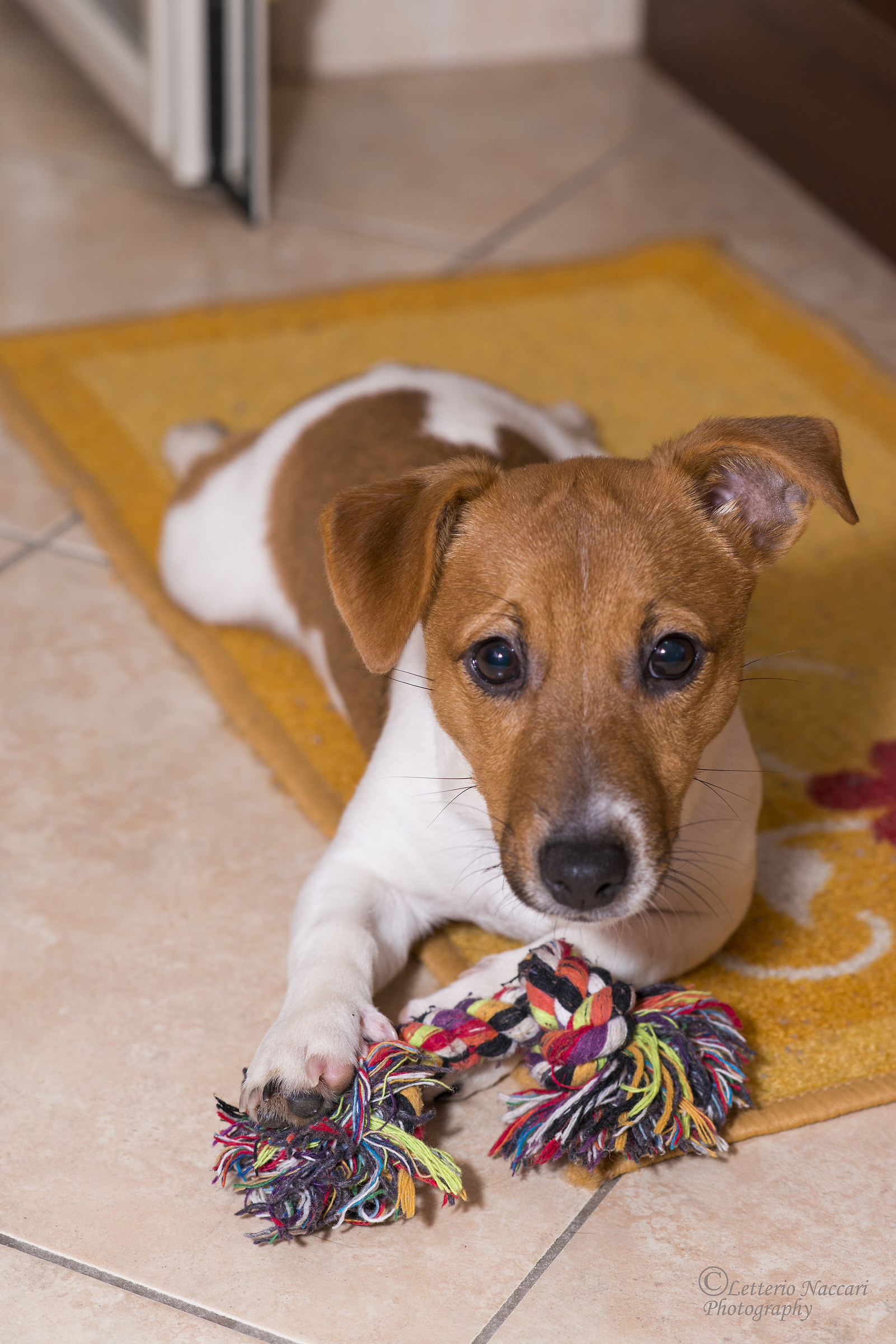 Il giochino è mio e non si tocca!