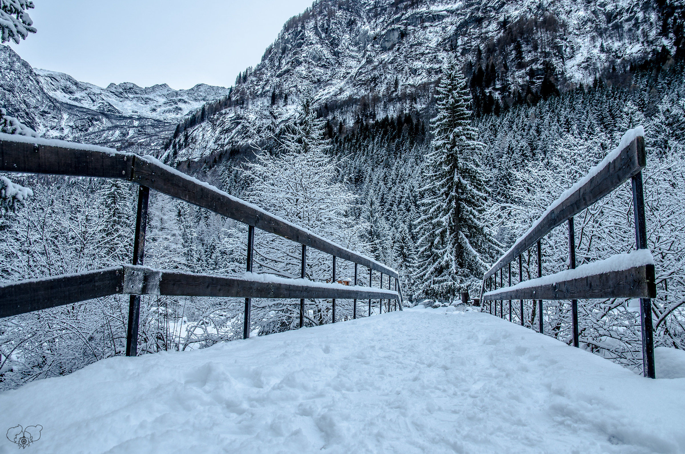 la neve e il suo magnifico silenzio