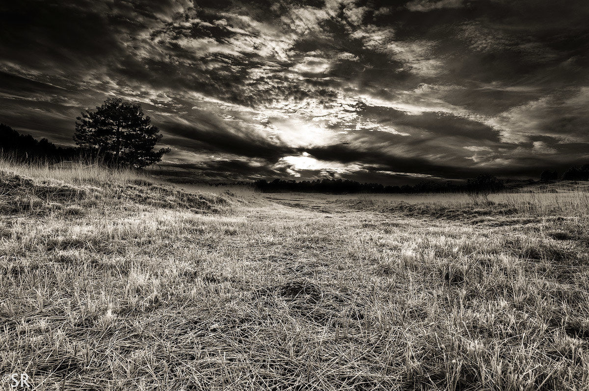 Armageddon approaching ...