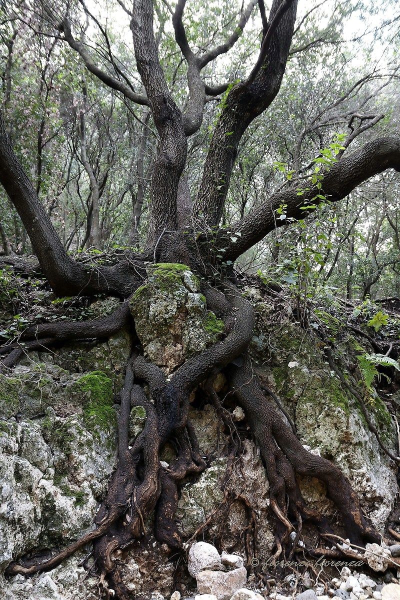 Abbracciato a Madre Terra