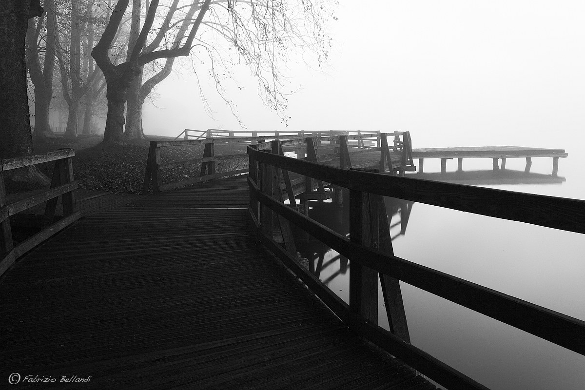 Camminando verso la nebbia
