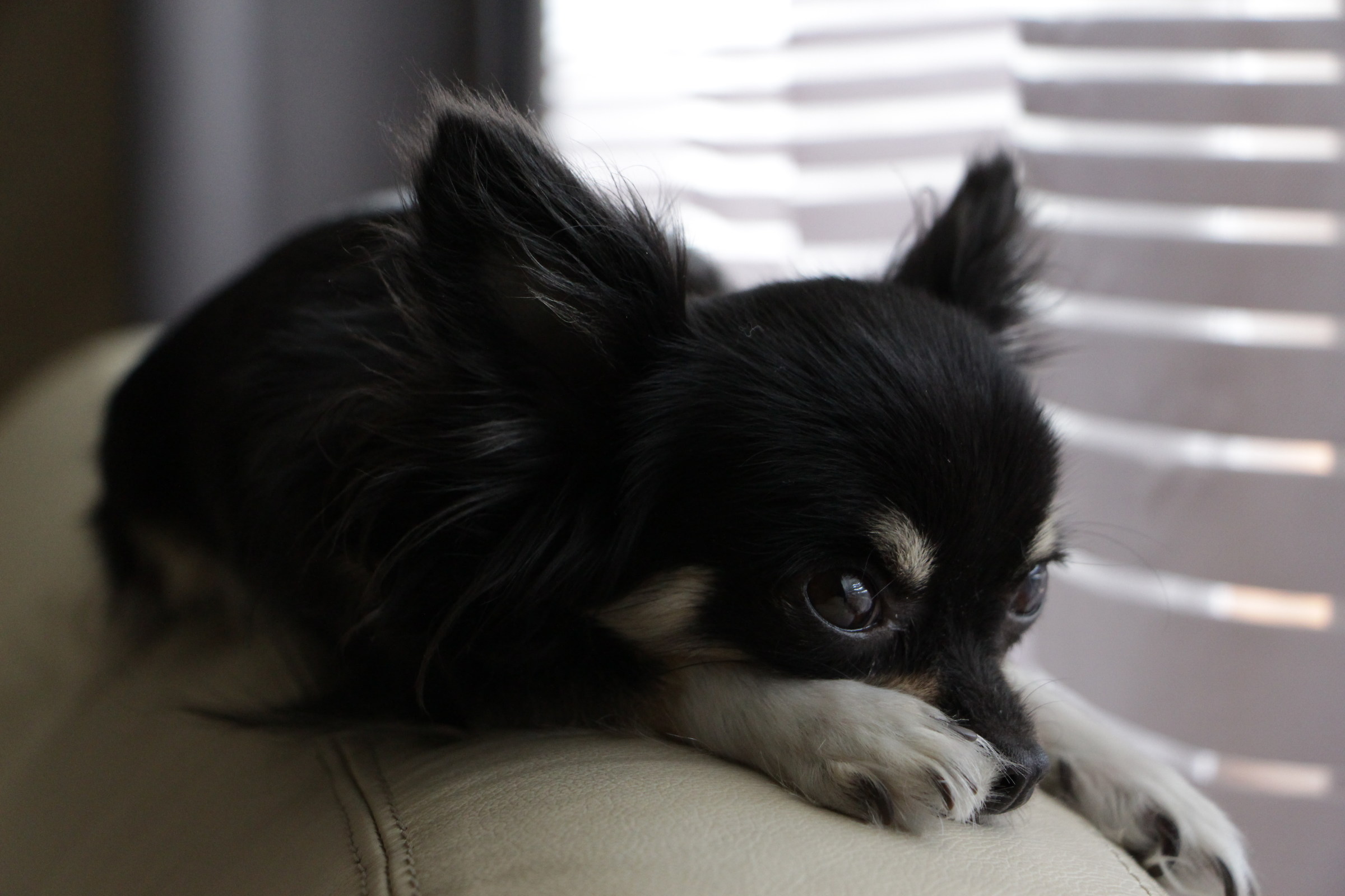 I wonder what you think ....