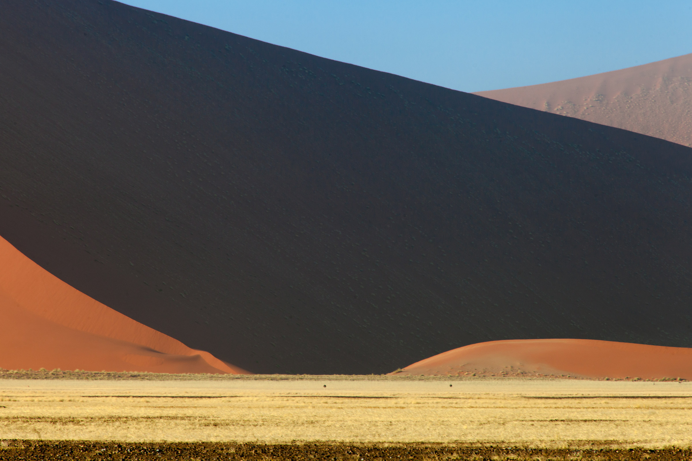 Mistero di incastri nel deserto del Namib
