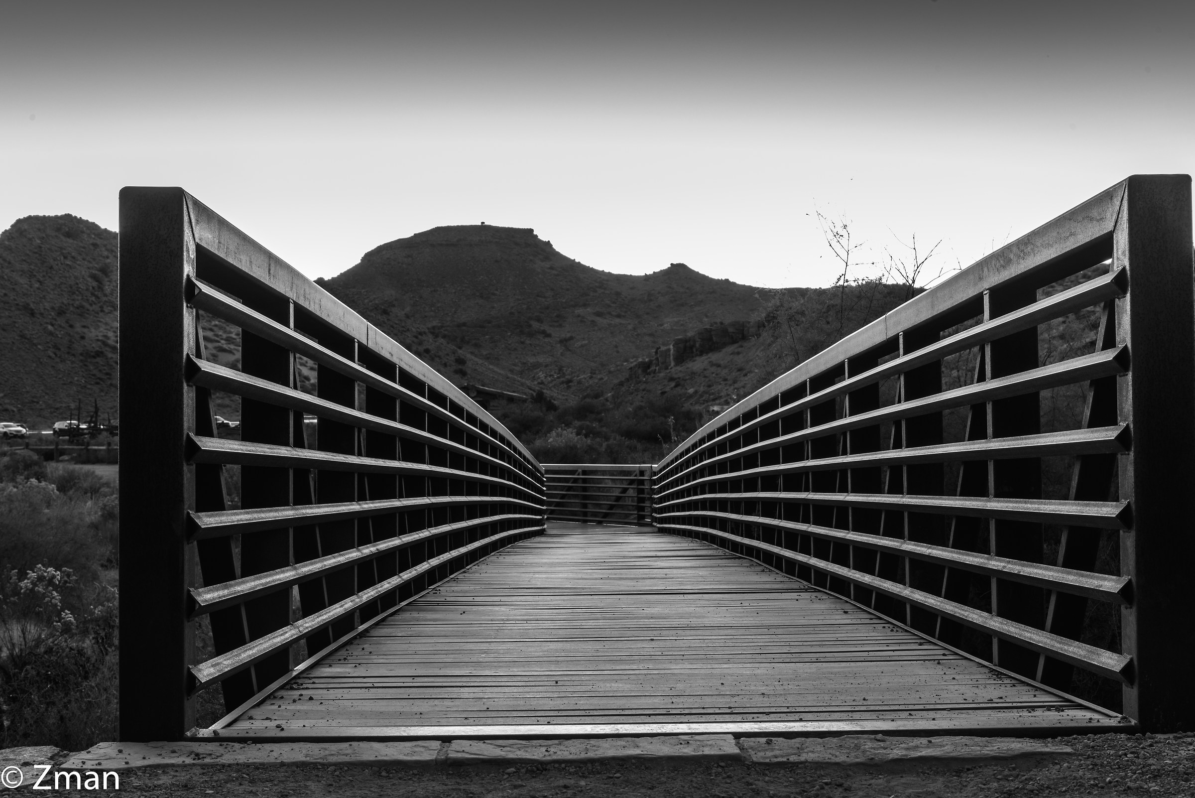Pedestrian Bridge