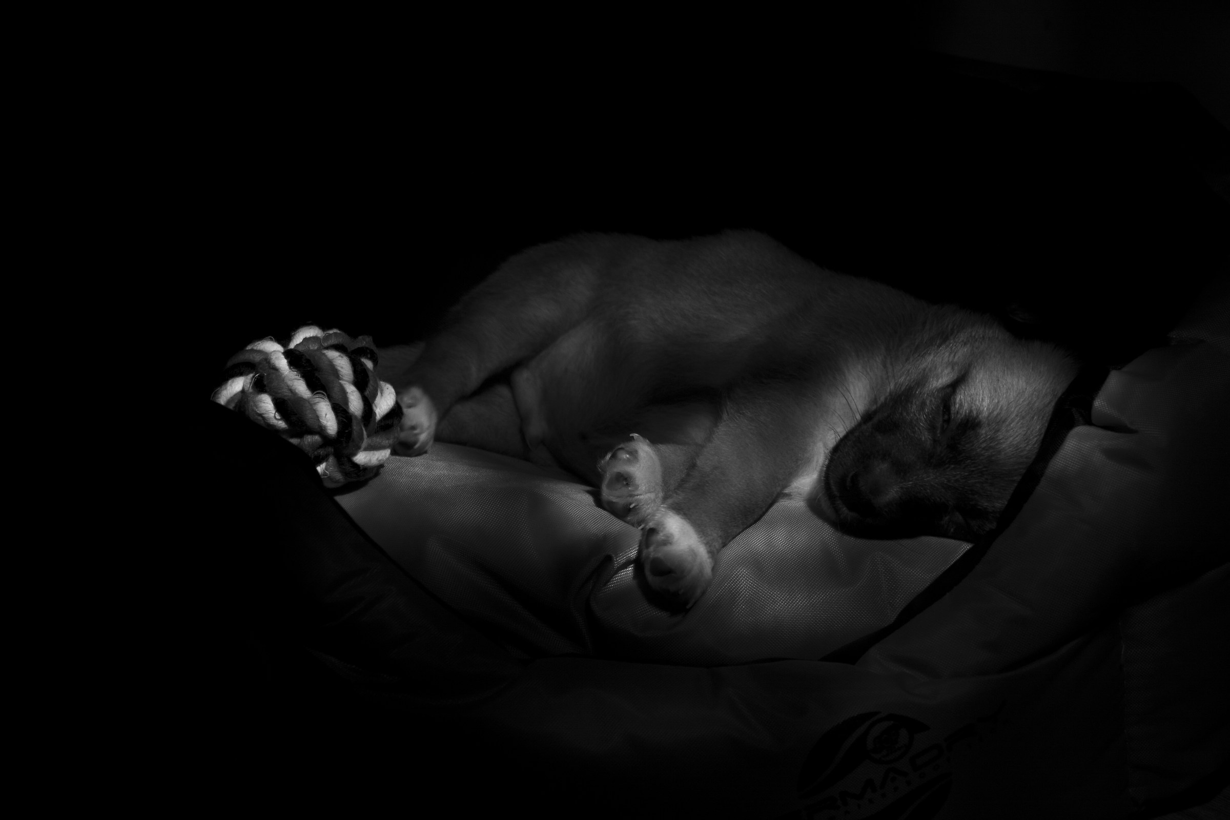 evidence of light painting-aaron b / w