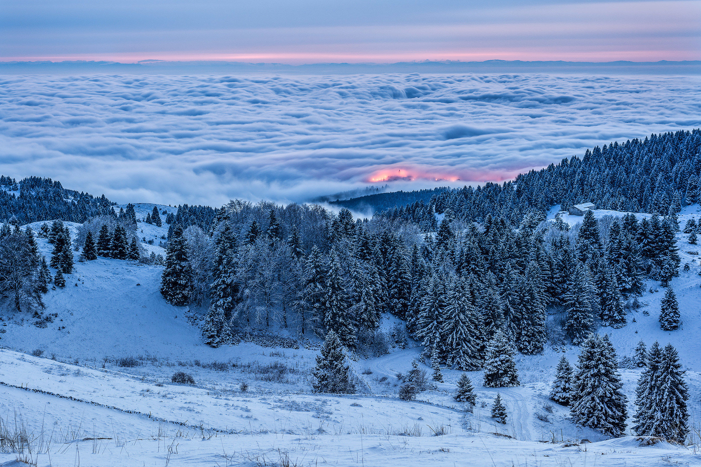 Avvolto dalla Nebbia