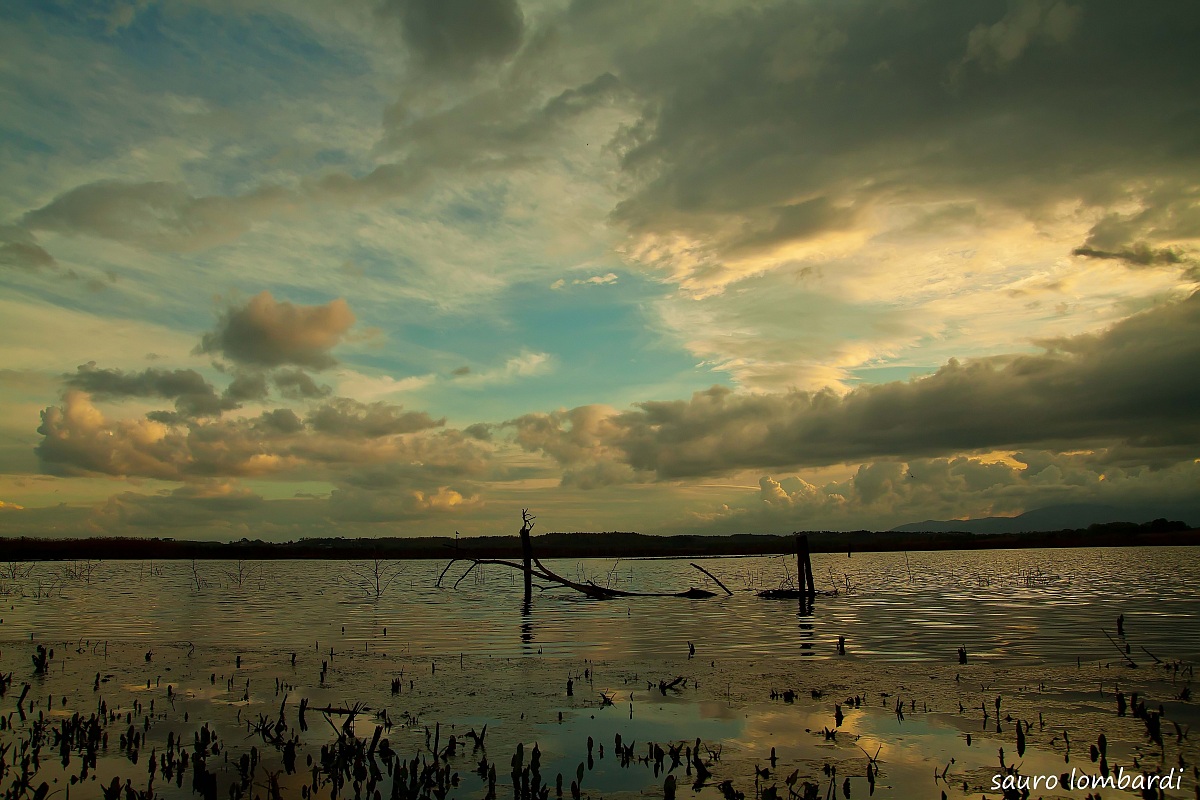 marshes of fucecchio