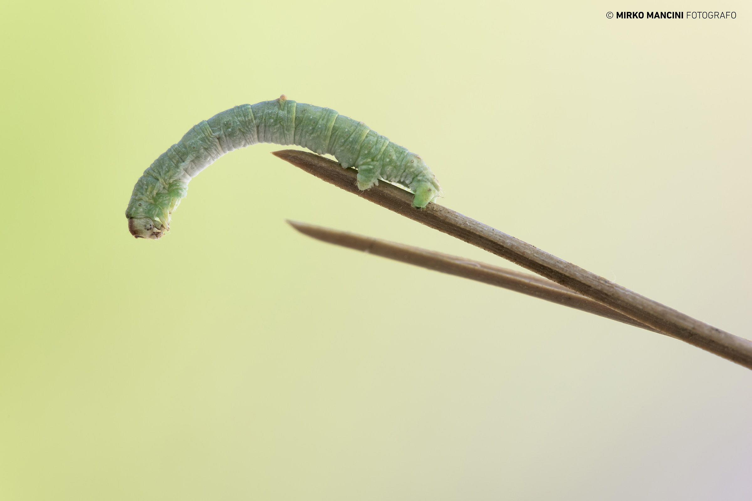 And then the empty ...