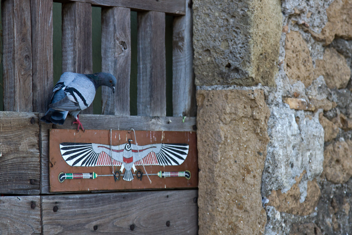 That it looks awful !!!!!