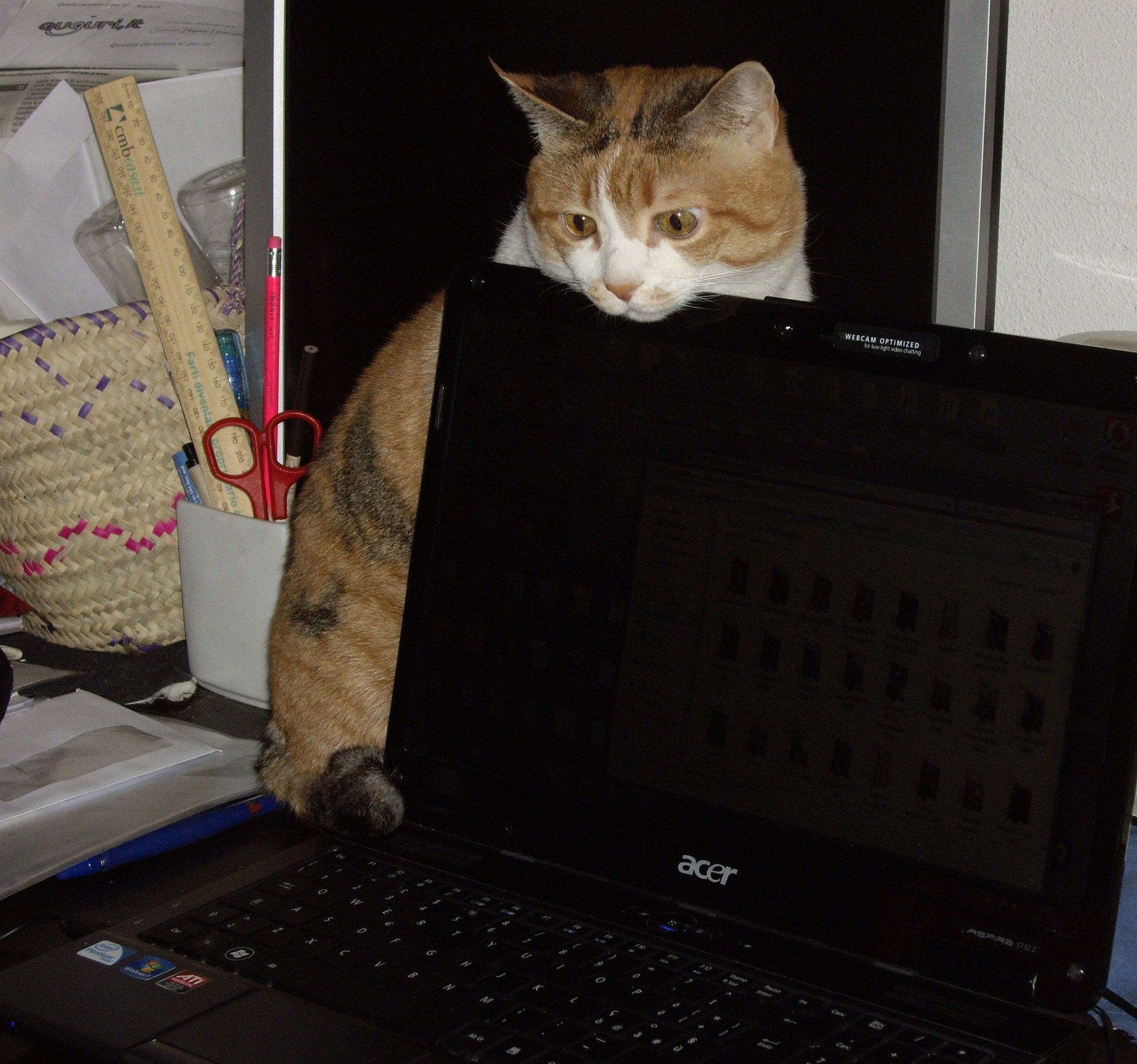 The temptation to Milla