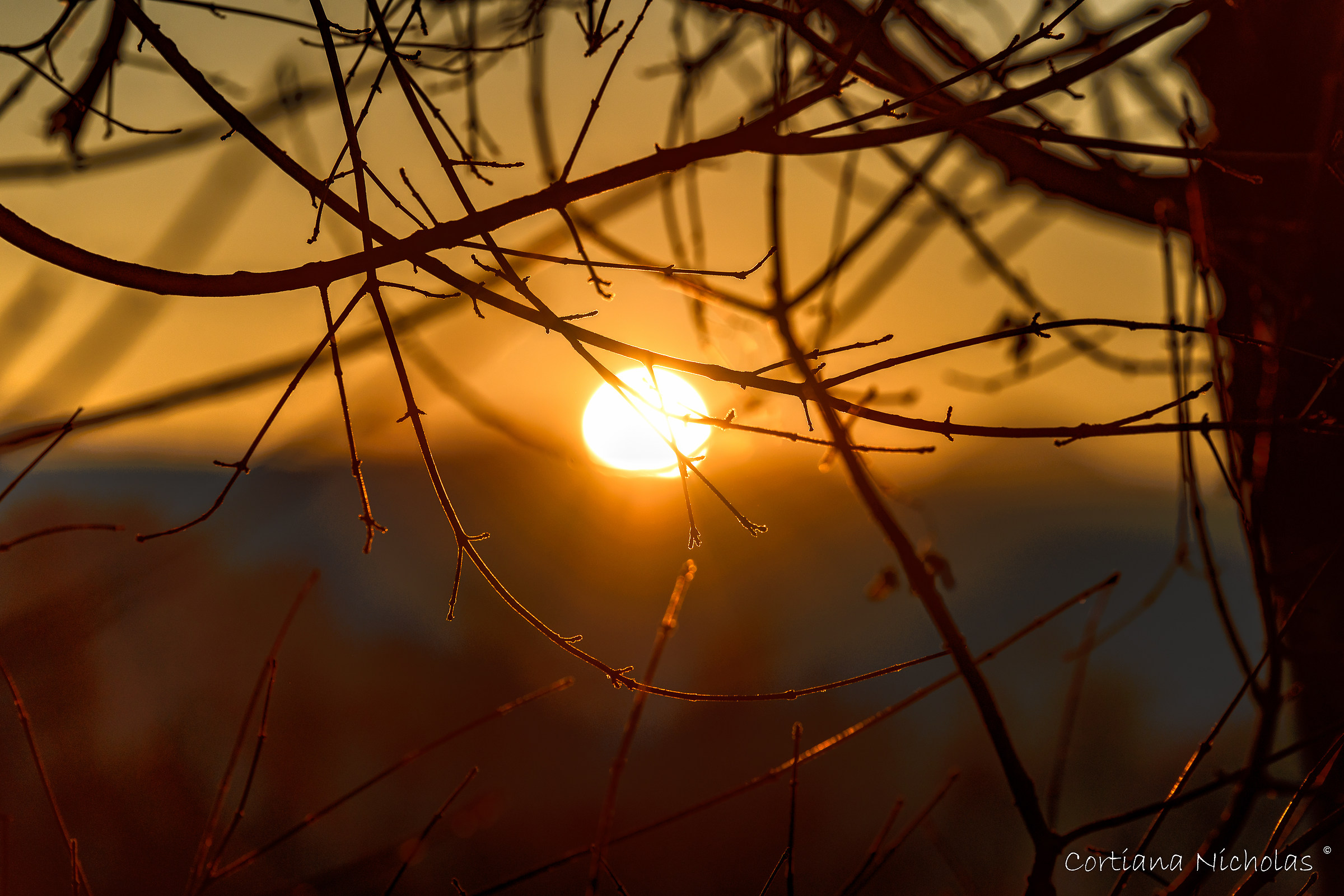 A moment before your farewell ...