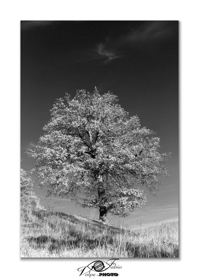 Loneliness monochrome