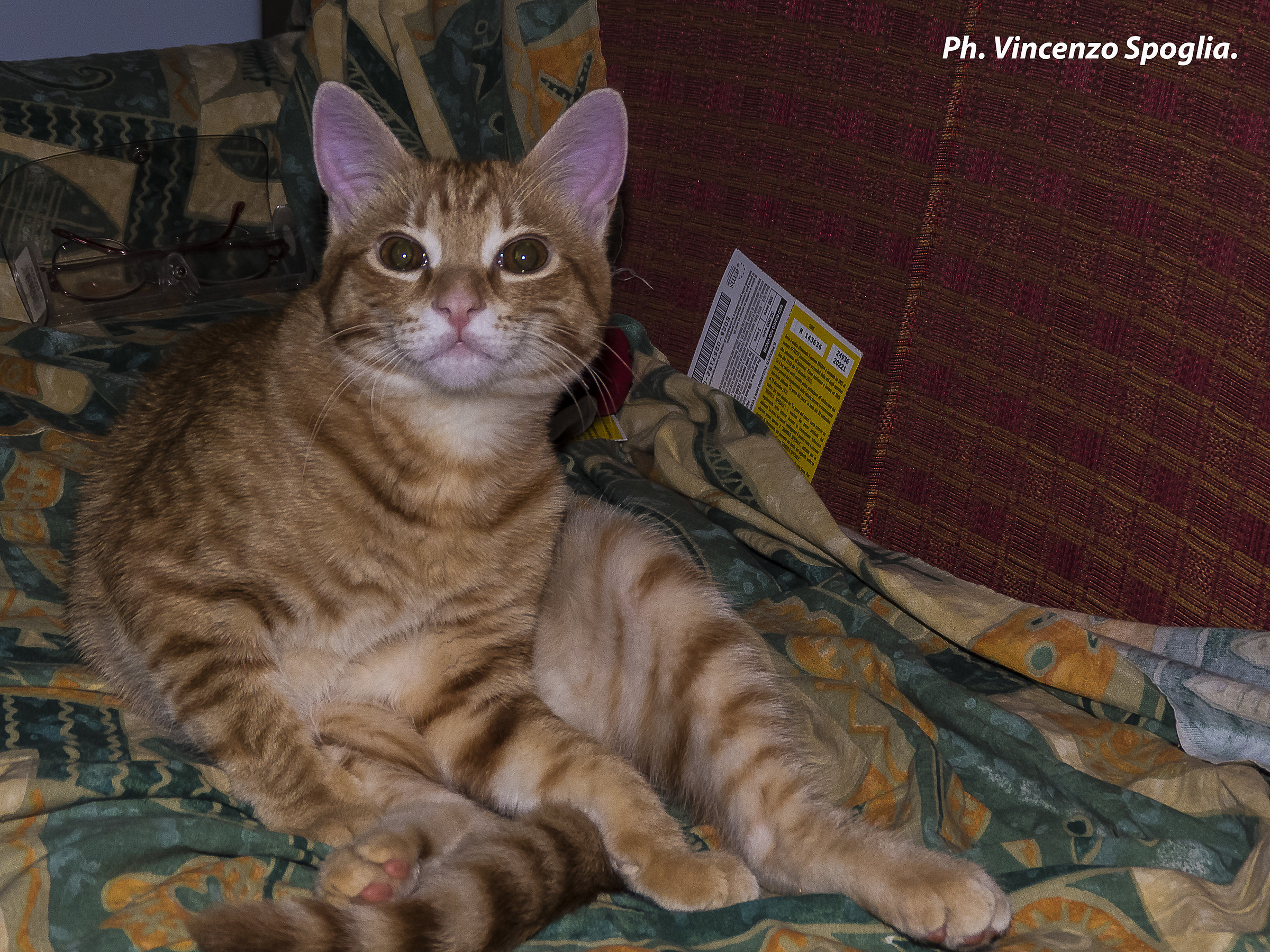 The sofa is mine !!!!