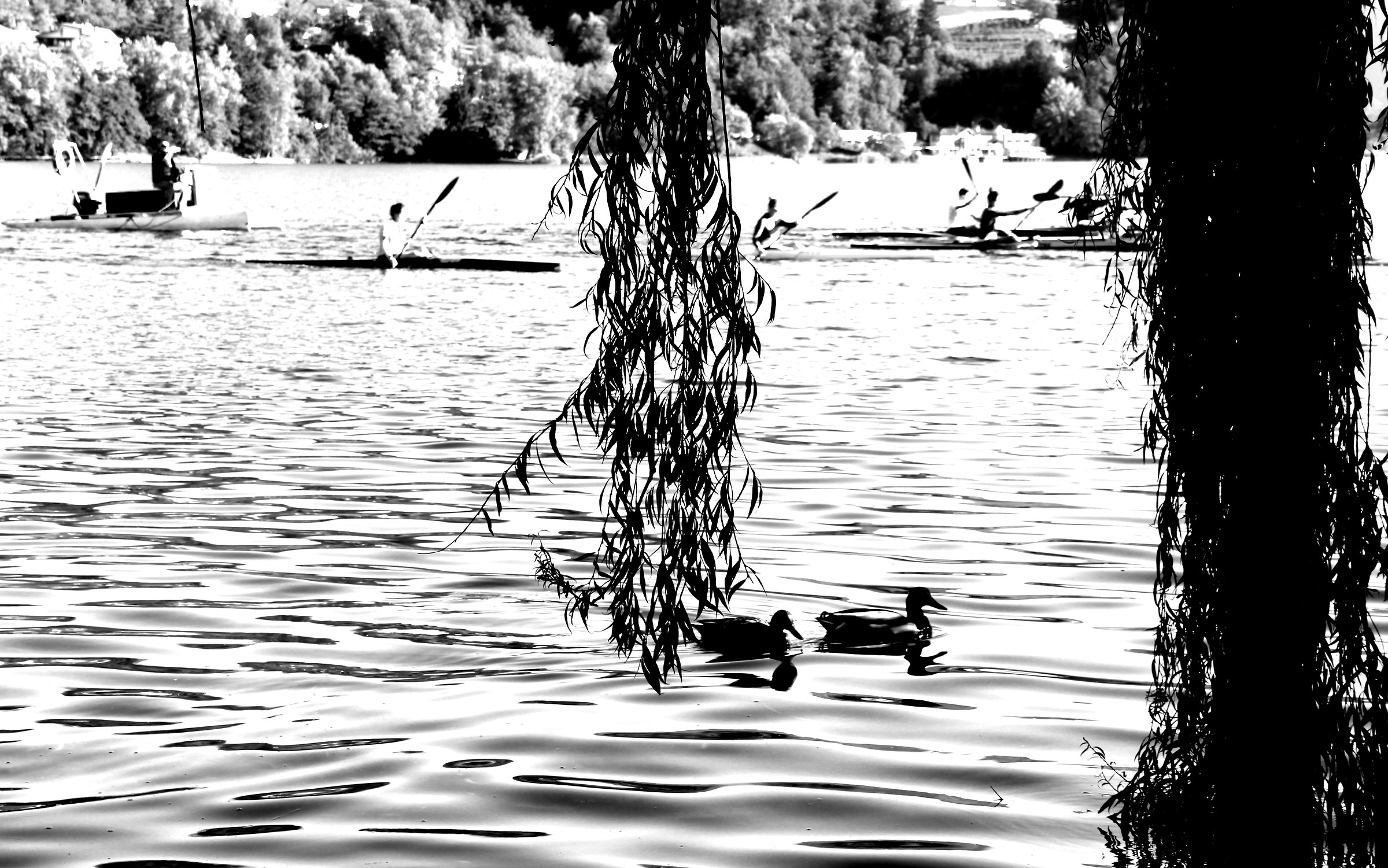 Luci e ombre al lago