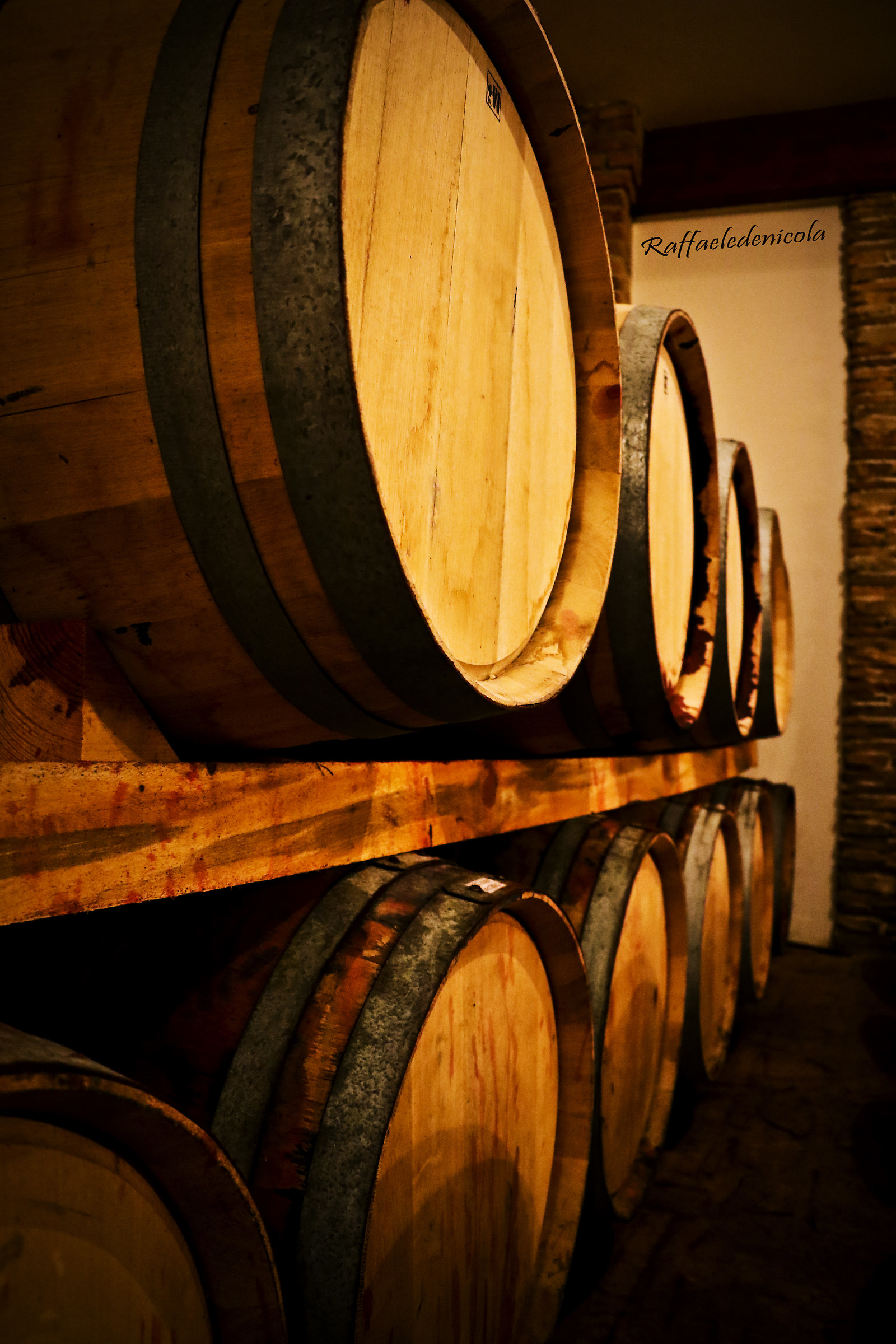 chissà il vino come sarà..