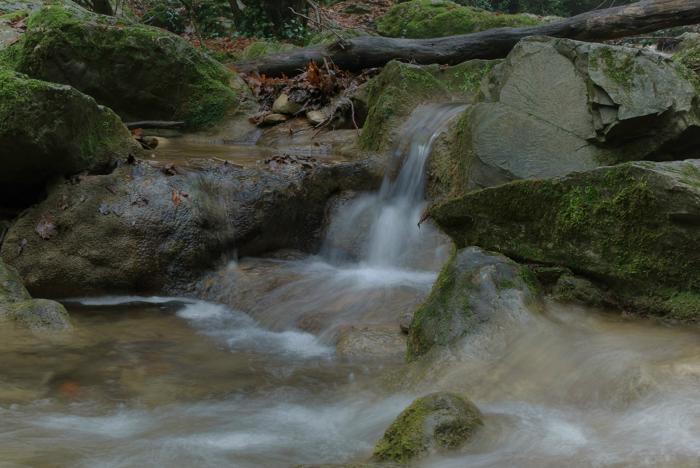 il ritorno dell'acqua