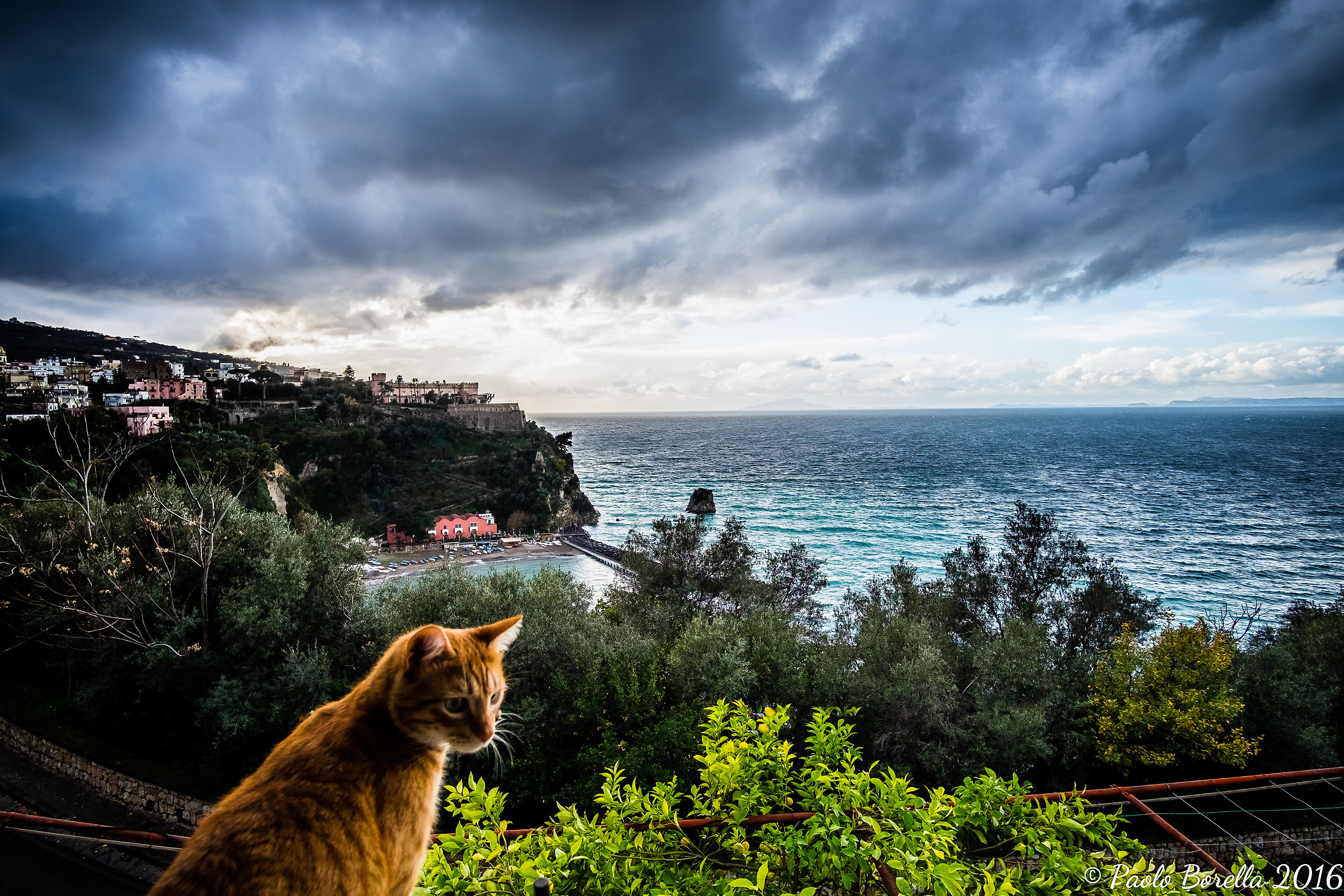 TaiChi in Vico Equense