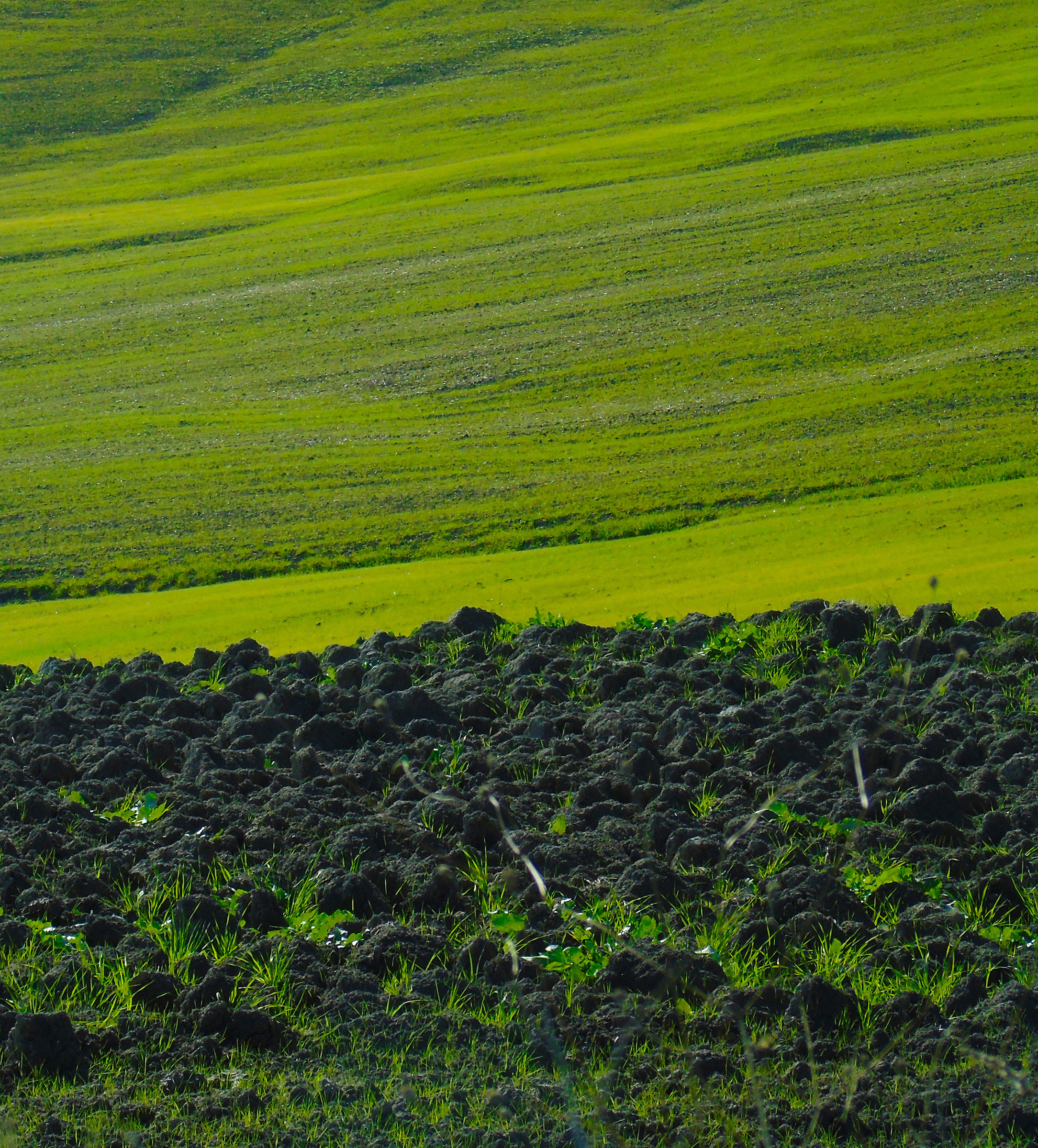 Green geometry and forms
