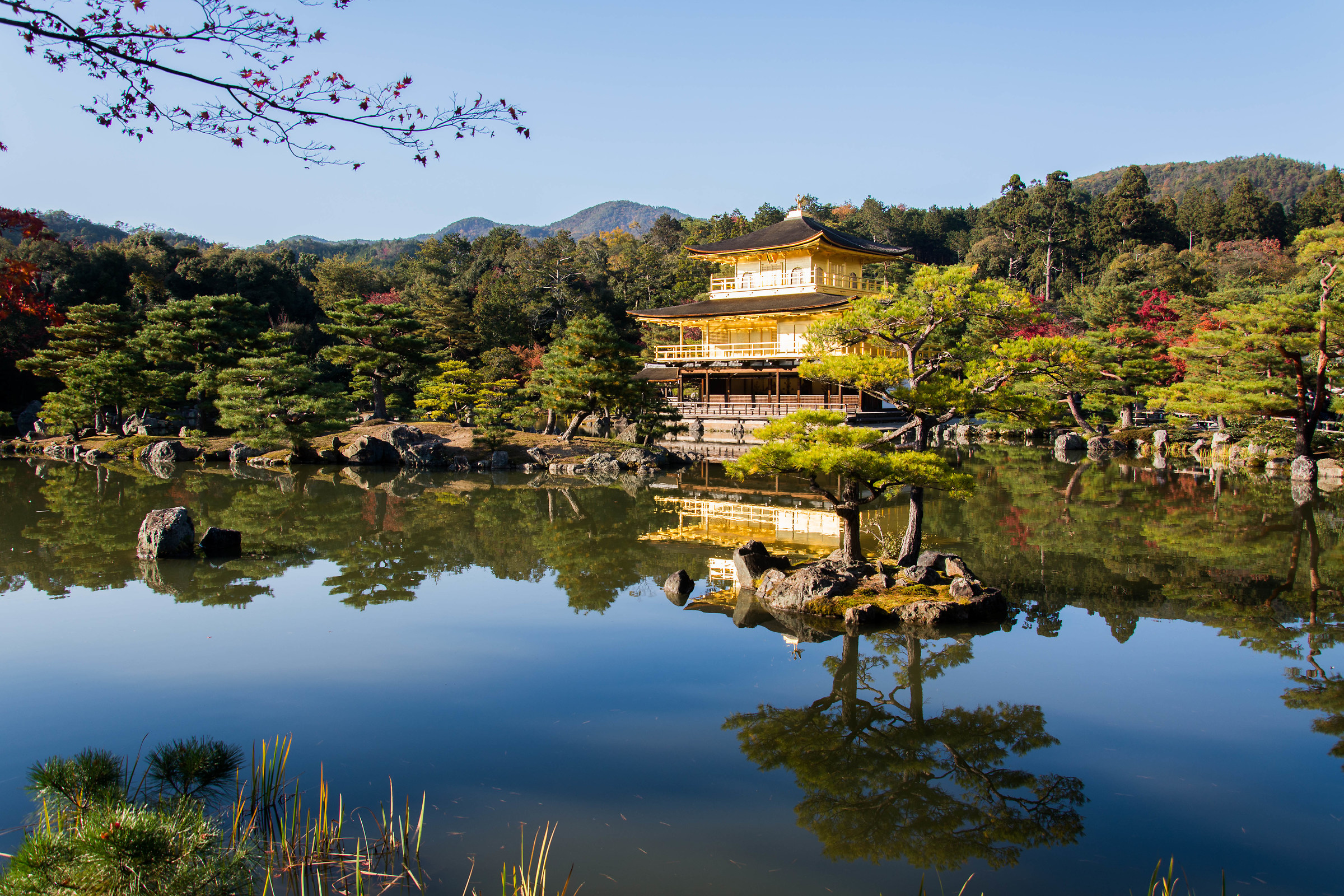 The Golden Pavillion