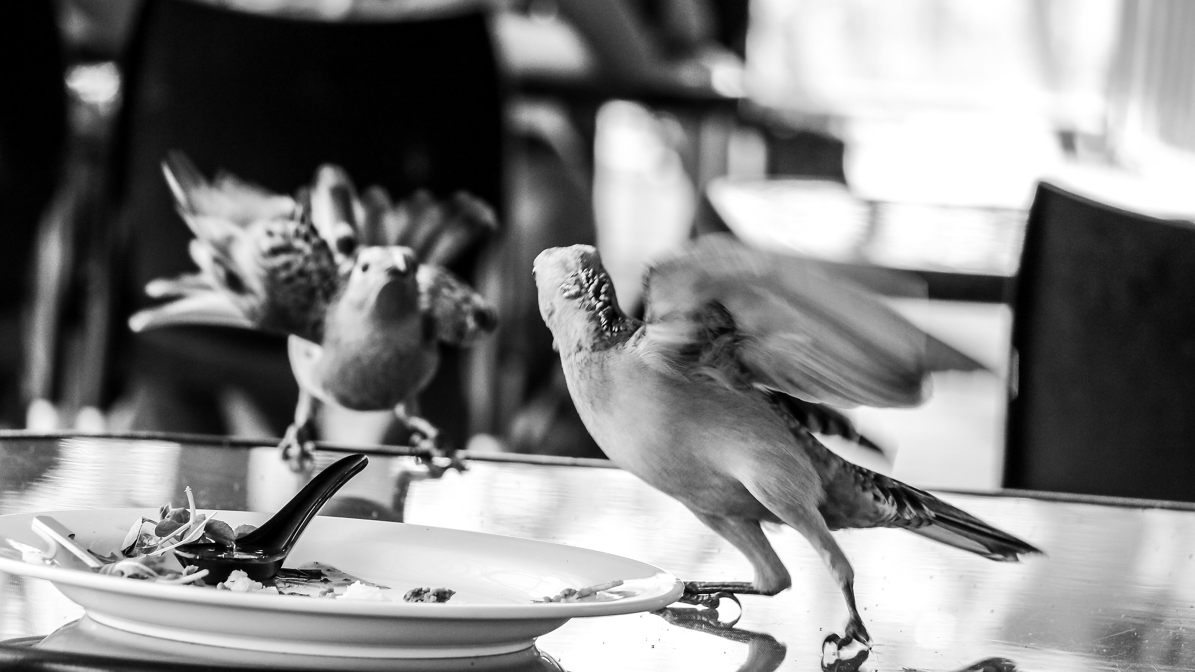 The evolution does not contemplate sharing ...