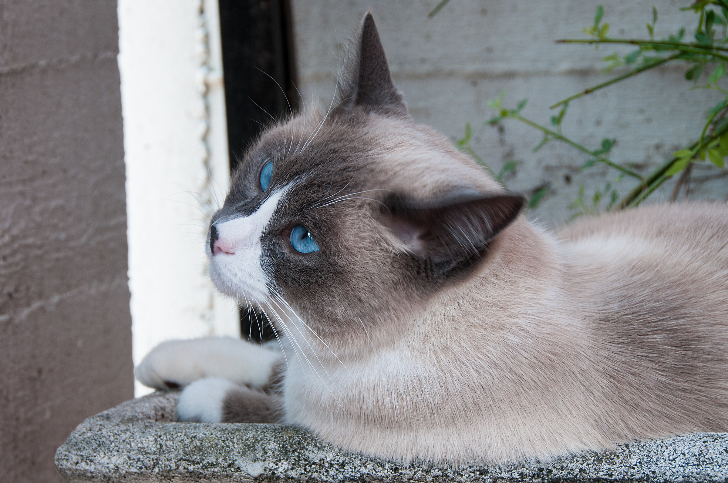 Lost in thought ....