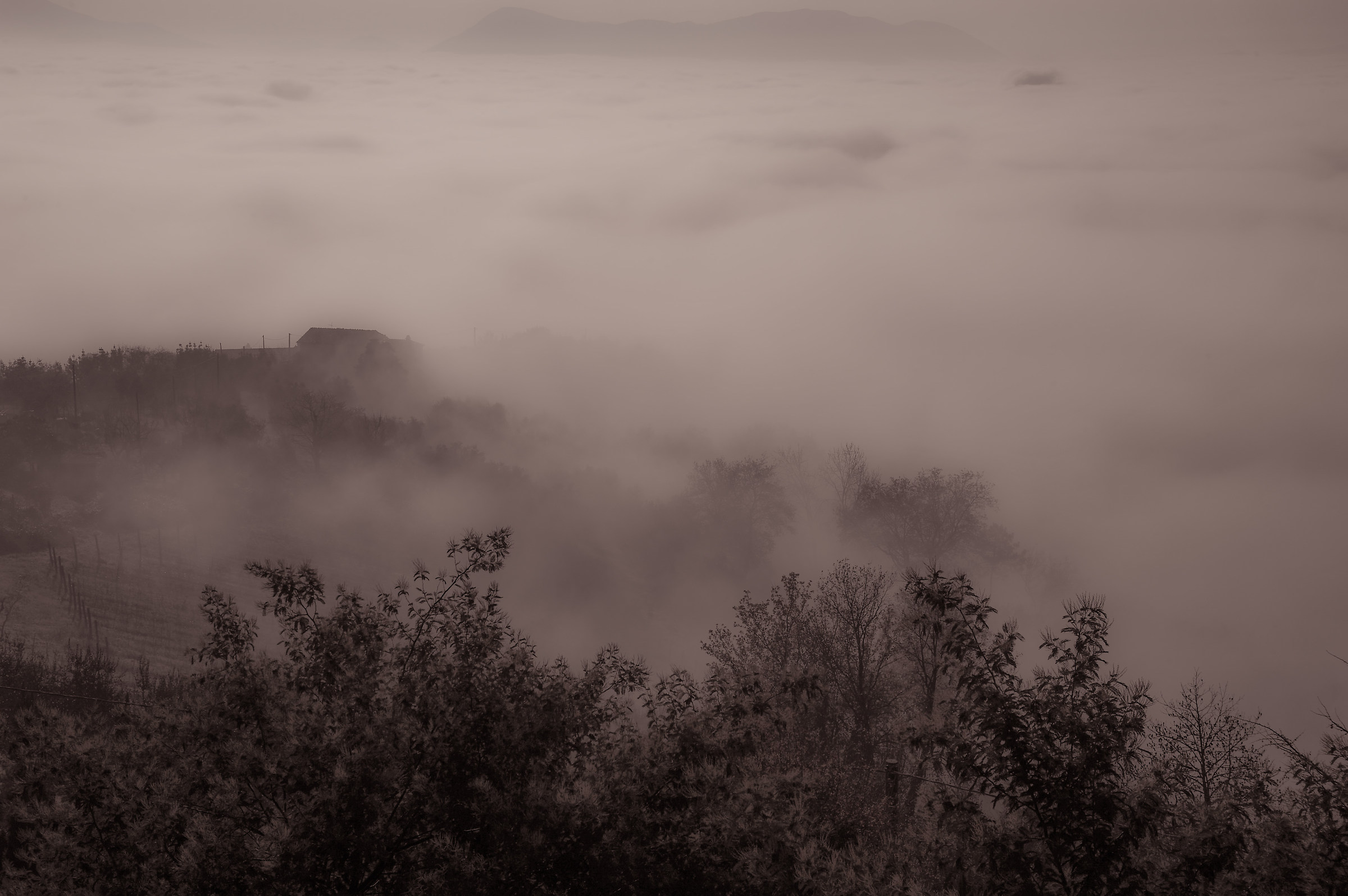 the fog to the steep hills .....