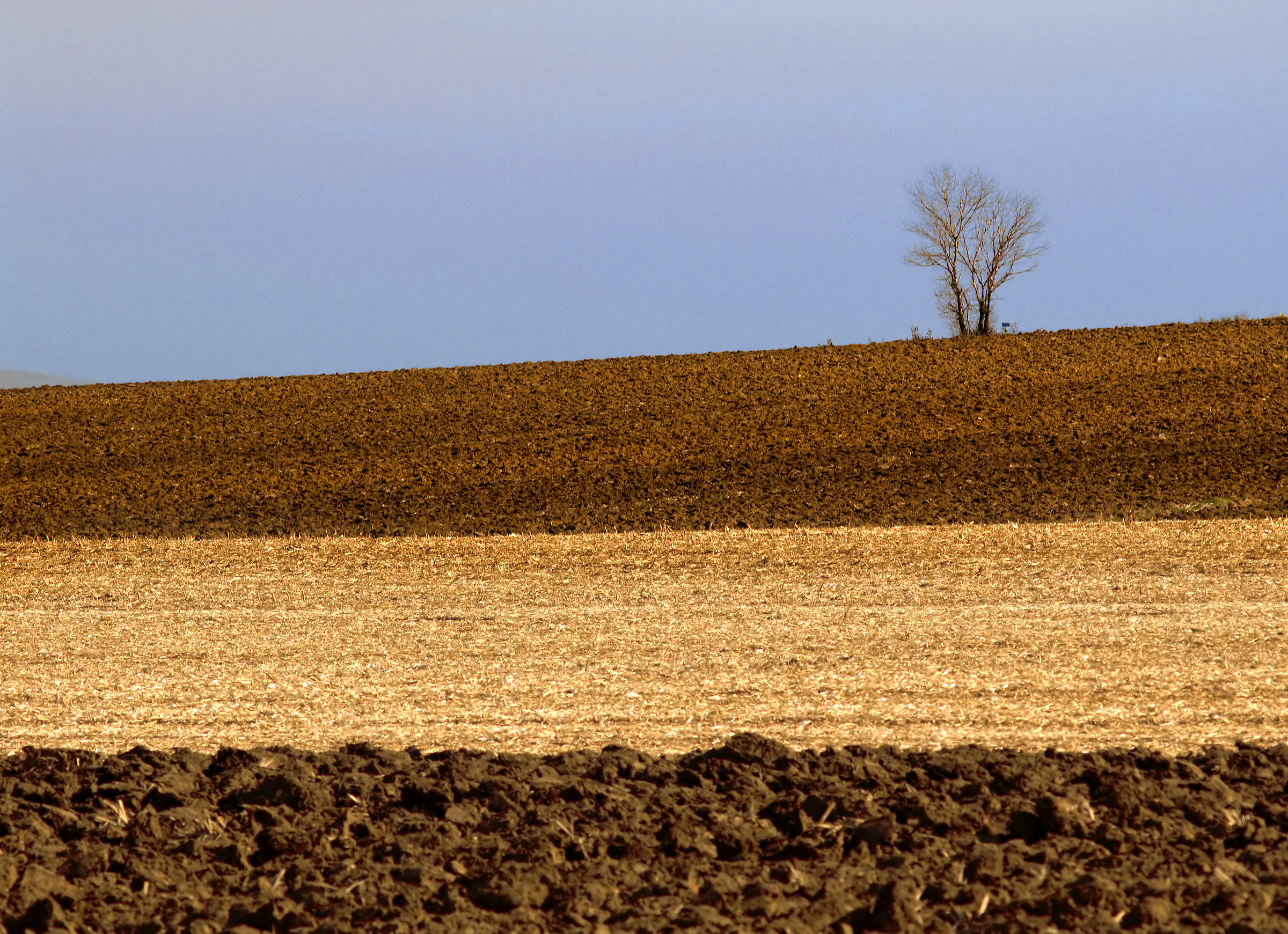 Perugia plowed hills