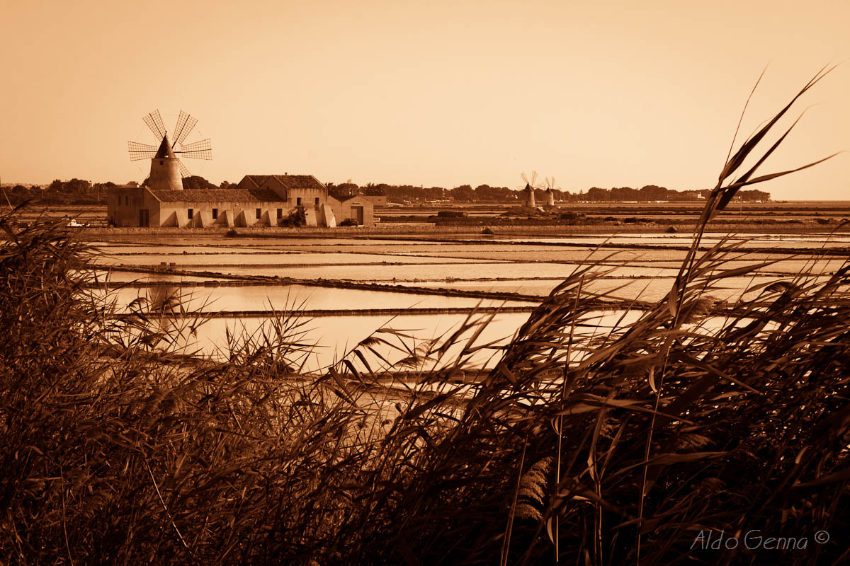 Mulino del sale di Marsala