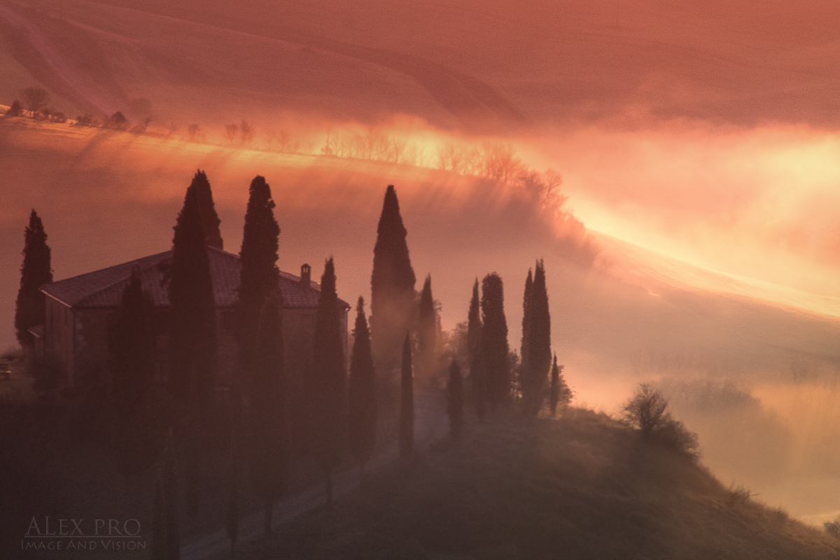 Misty dawn at the Belvedere