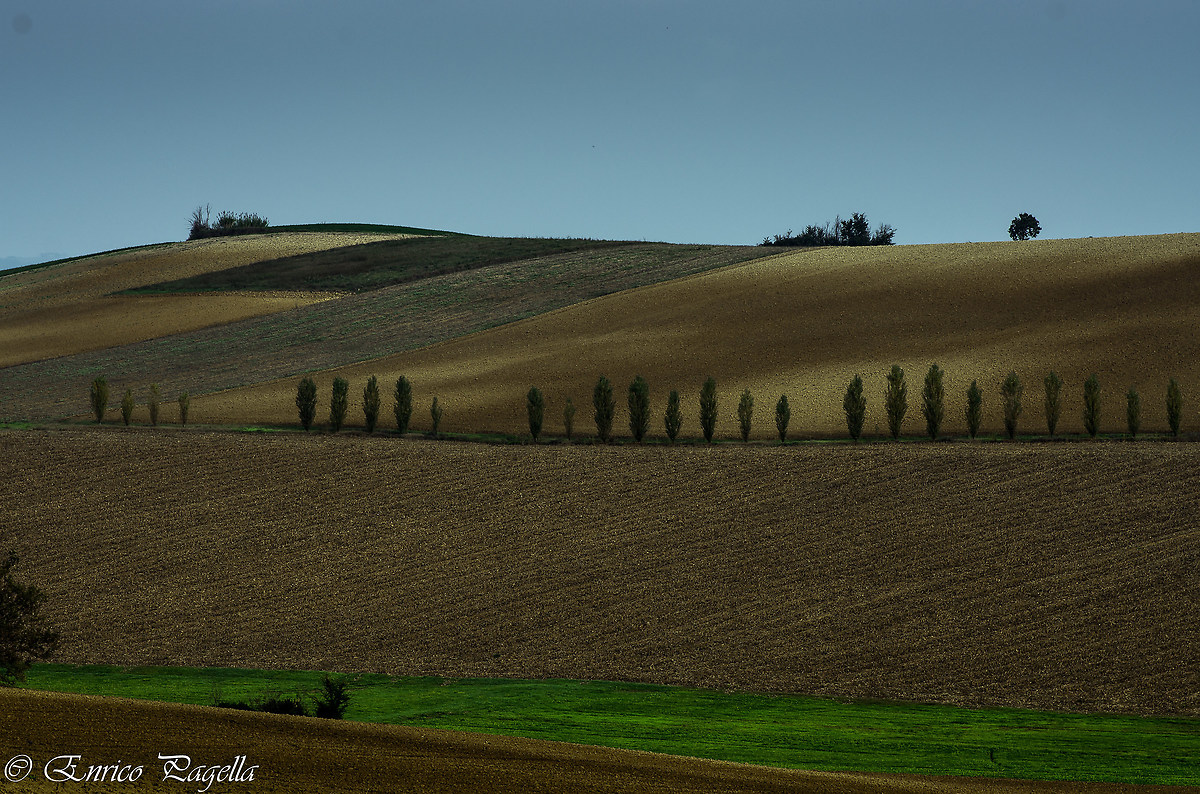 the geometry of cultivated land