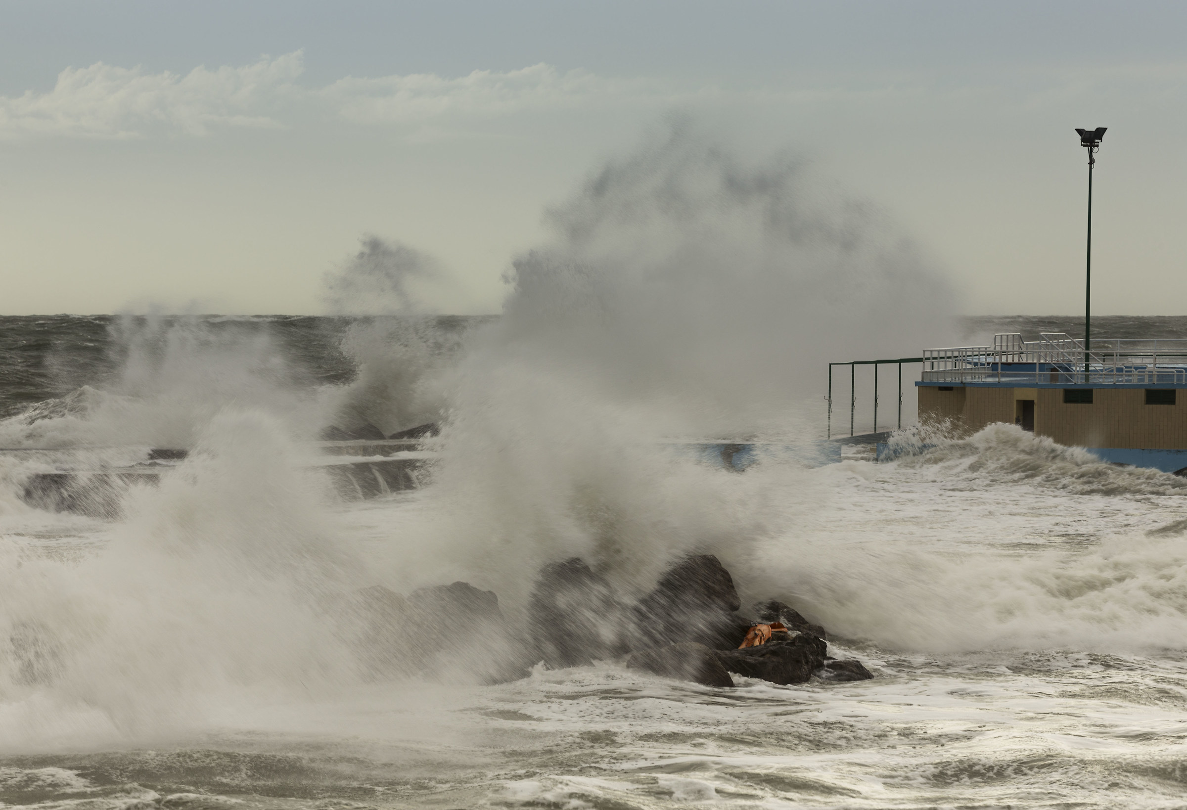 Libecciata a Livorno