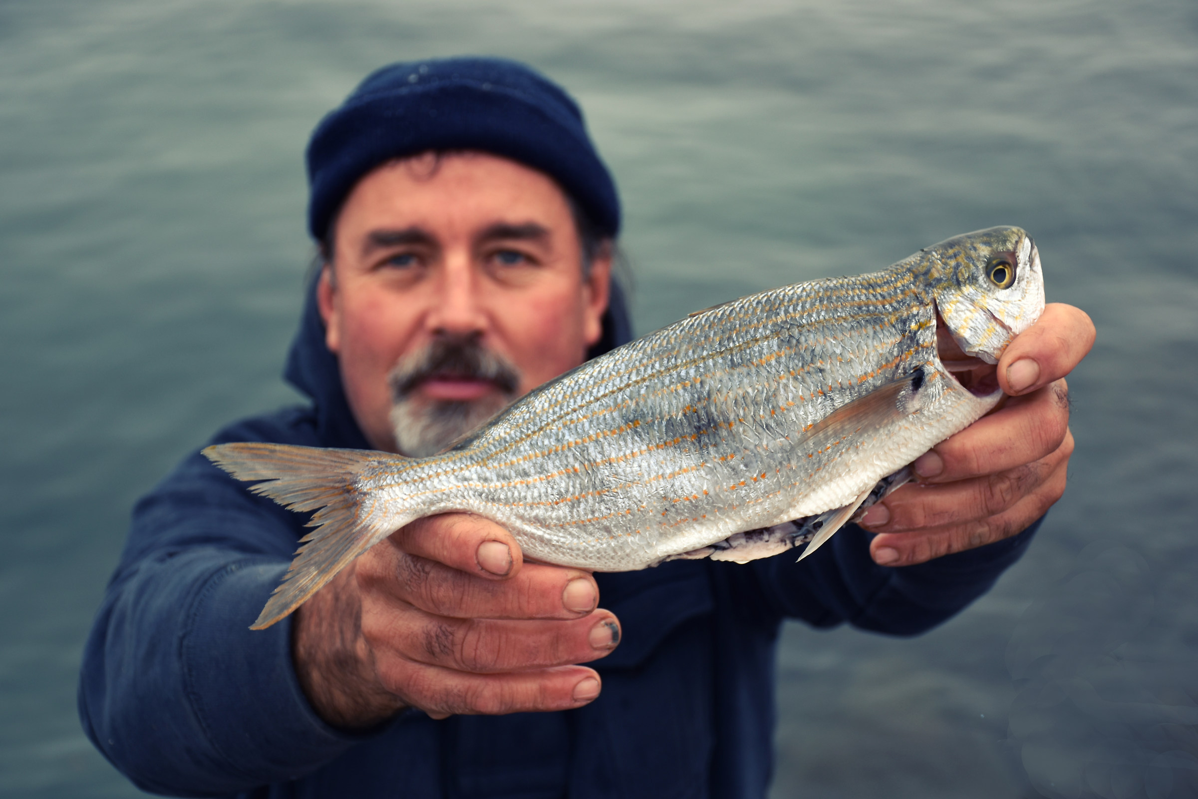 Salpa e pescatore Srecko