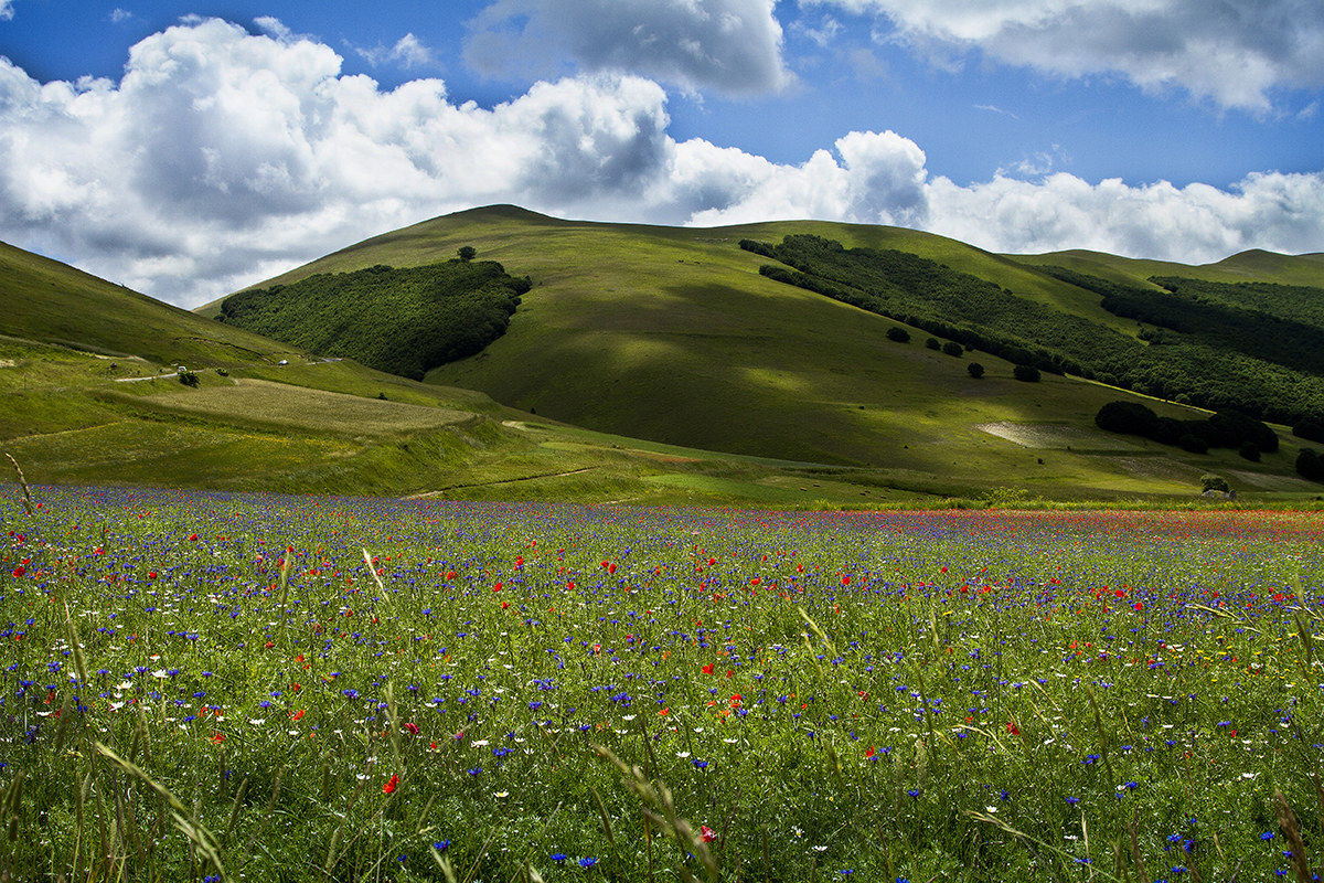 Castelluccio e Sibillini