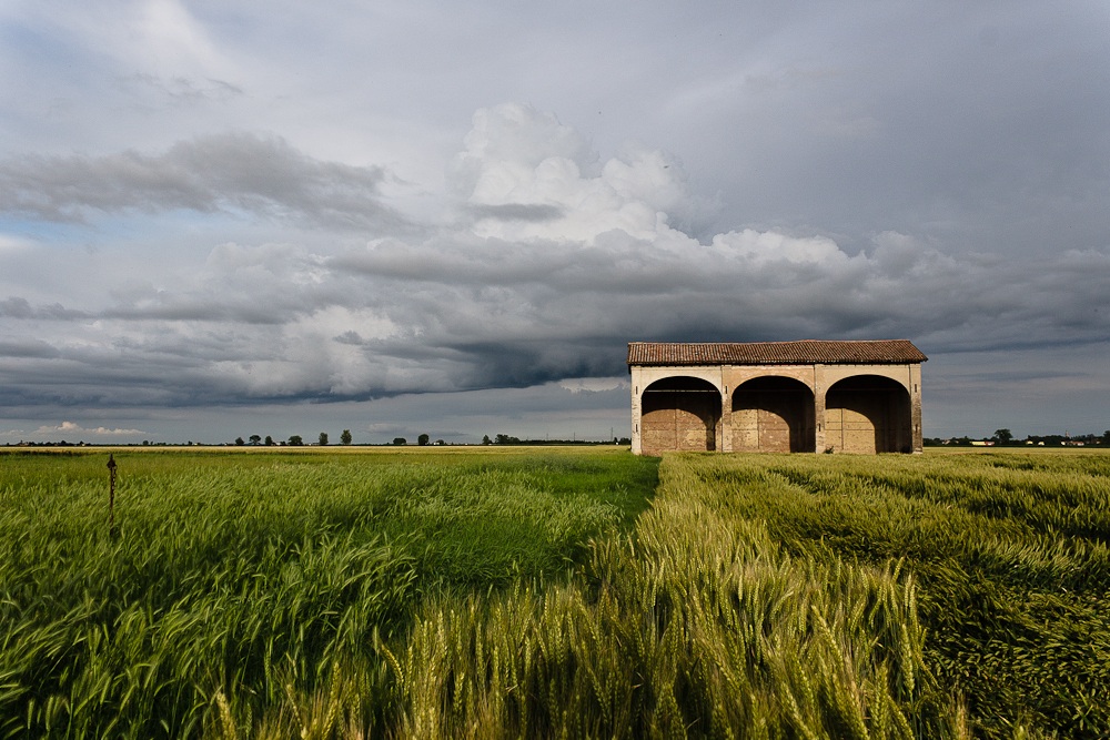 After the earthquake