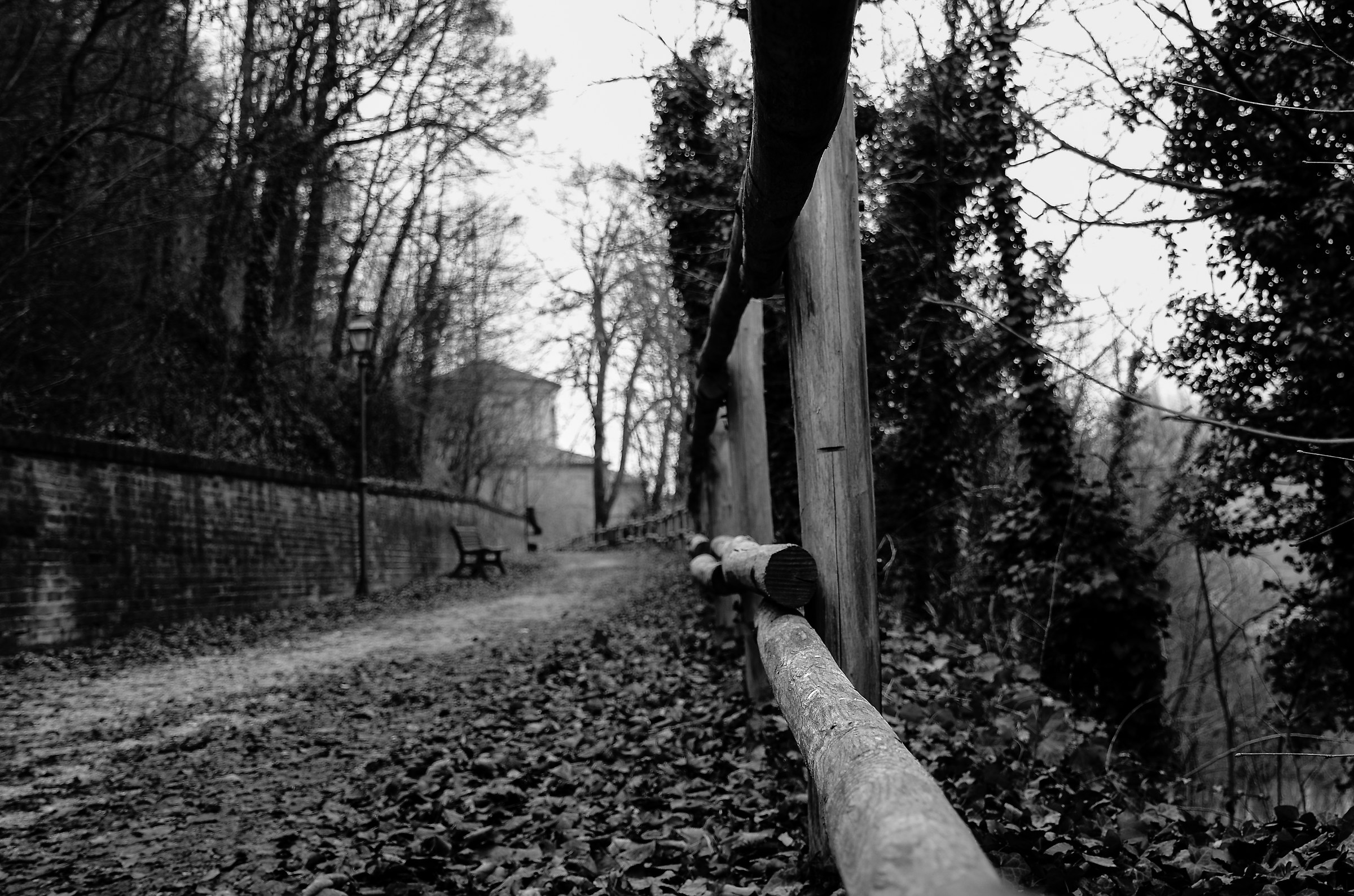 Autumn in Vezza d'Alba