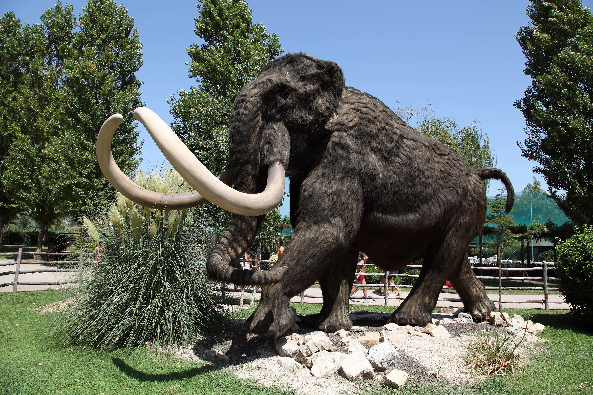 Prehistoric elephant